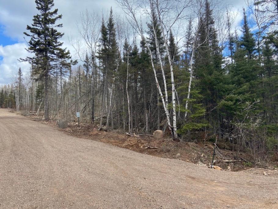 3rd image of 000 Aspen Ln, Silver Bay, MN 55614 | MLS# 7109545