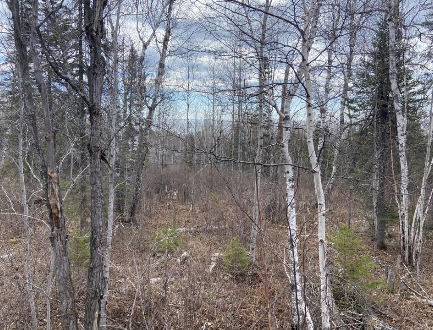 1st image of 000 Aspen Ln, Silver Bay, MN 55614 | MLS# 7109545