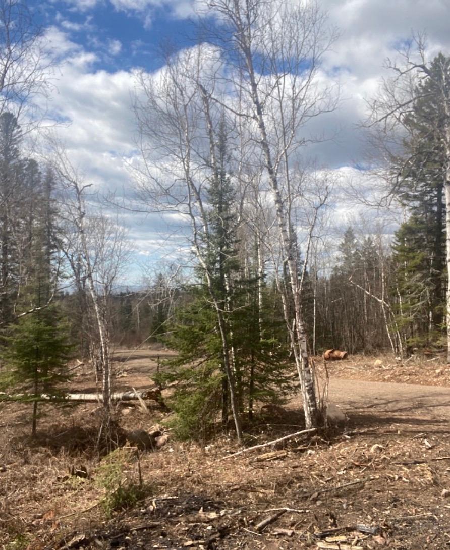4th image of 000 Aspen Ln, Silver Bay, MN 55614 | MLS# 7109545