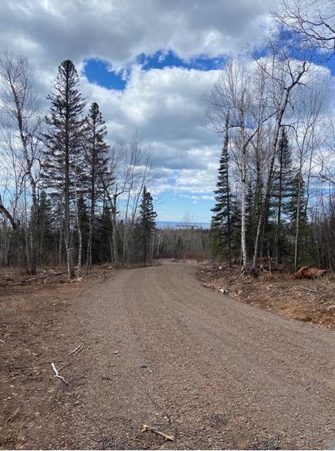 5th image of 000 Aspen Ln, Silver Bay, MN 55614 | MLS# 7109545