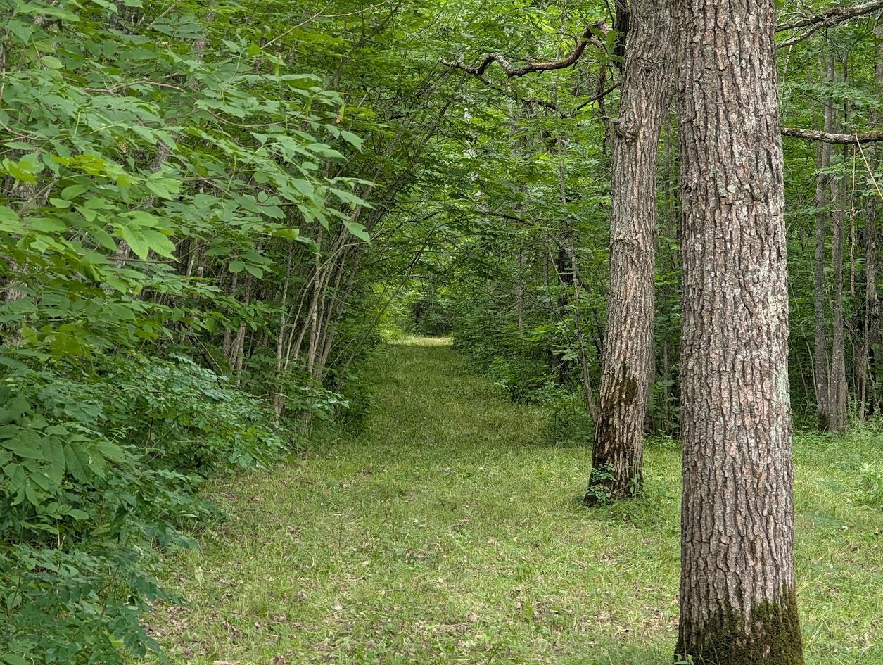 32nd image of 46212 Us Hwy 169, Palisade, MN 56469 | MLS# 7109889