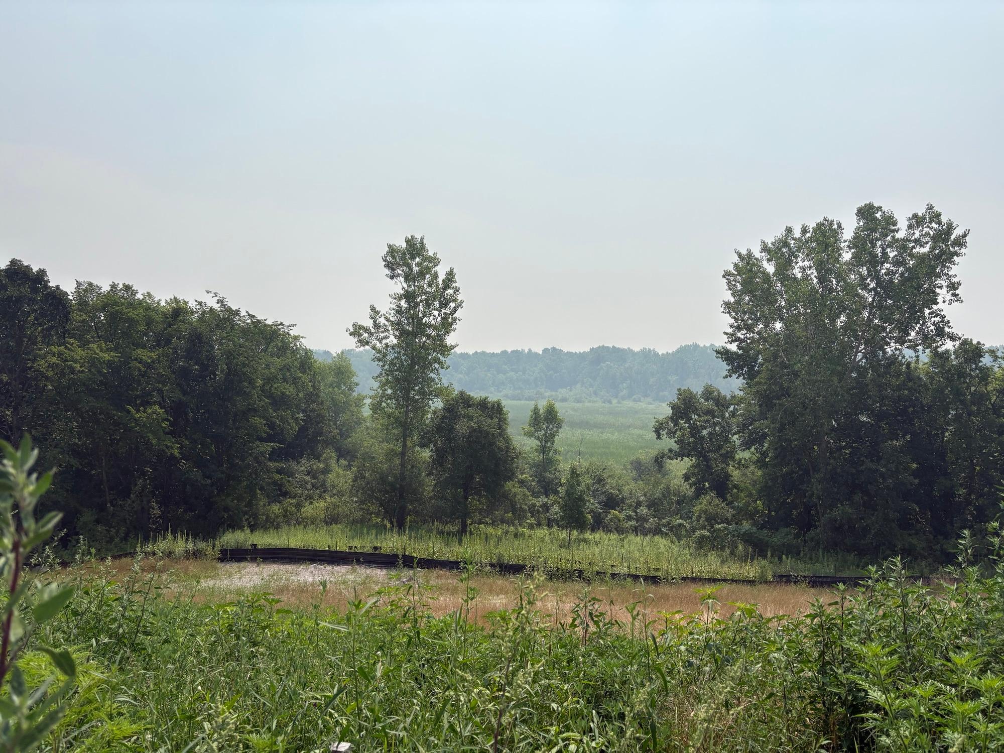 3rd image of 759 Vista Ct, Delano, MN 55328 | MLS# 7109962