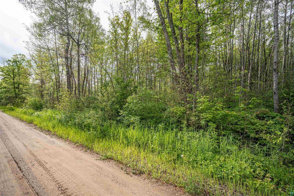 14th image of Tbd Xxx Digs Dr, Wright, MN 55798 | MLS# 7109991