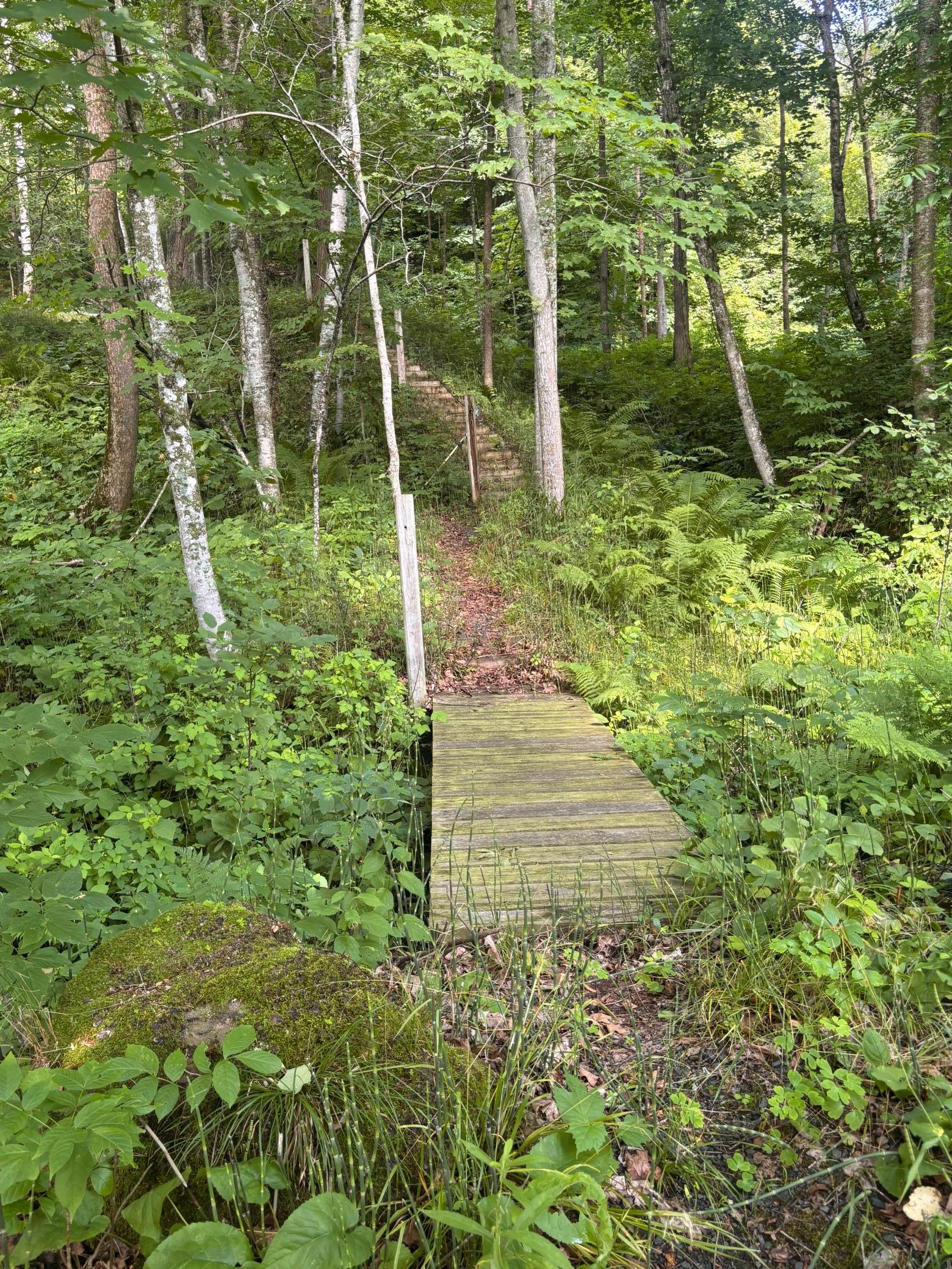 5th image of 909 N Cascade St, Osceola, WI 54020 | MLS# 7110332
