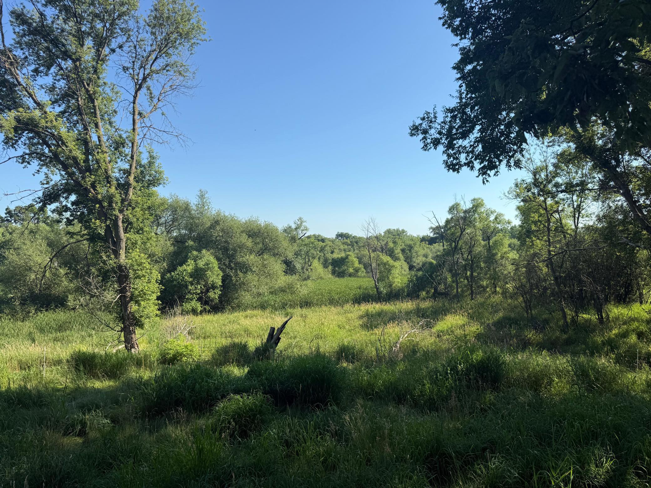 1st image of 130 10th Ave Nw, Glenwood, MN 56334 | MLS# 7110408
