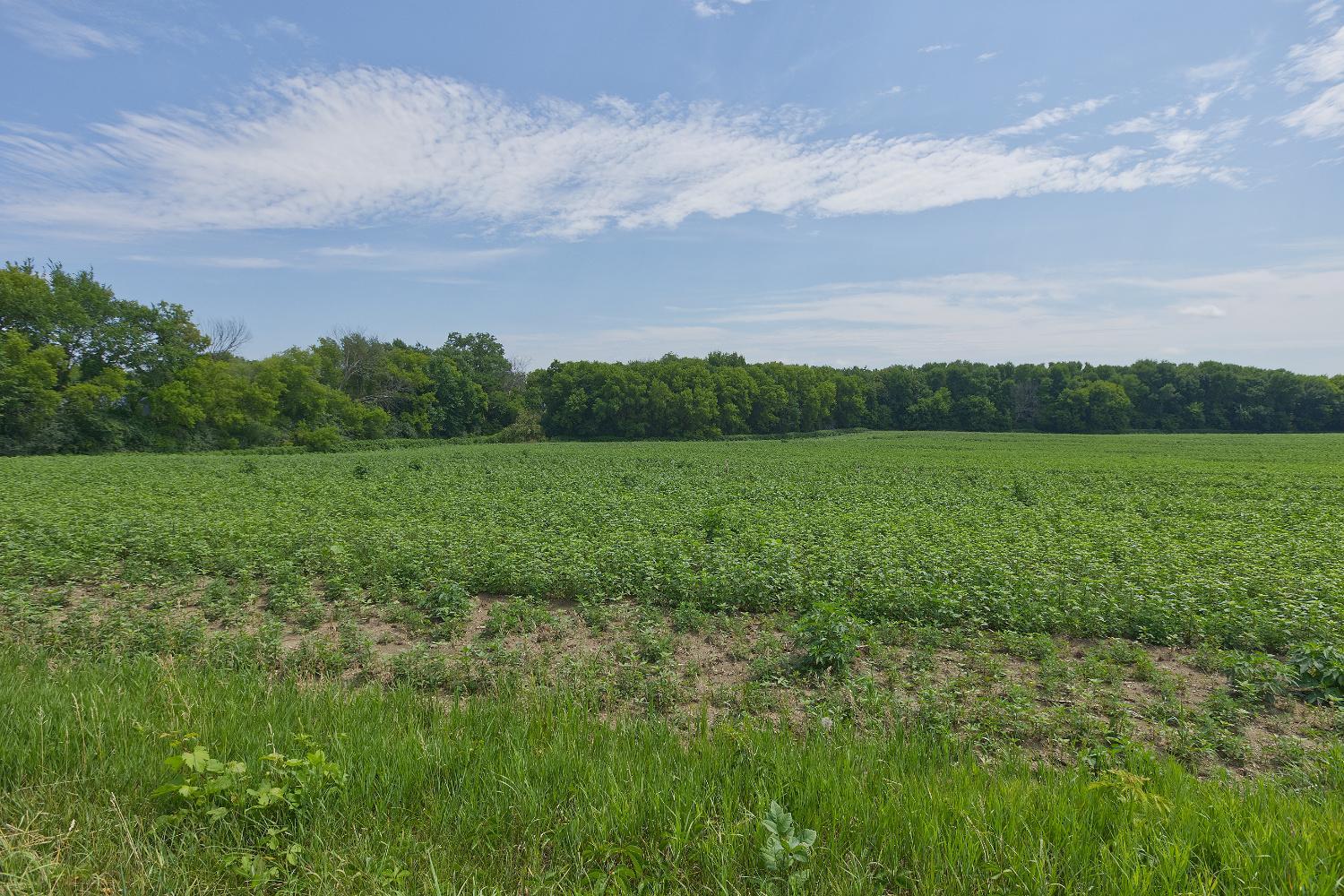 4th image of Tbd Ingram Ave Sw, Howard Lake, MN 55349 | MLS# 7110482