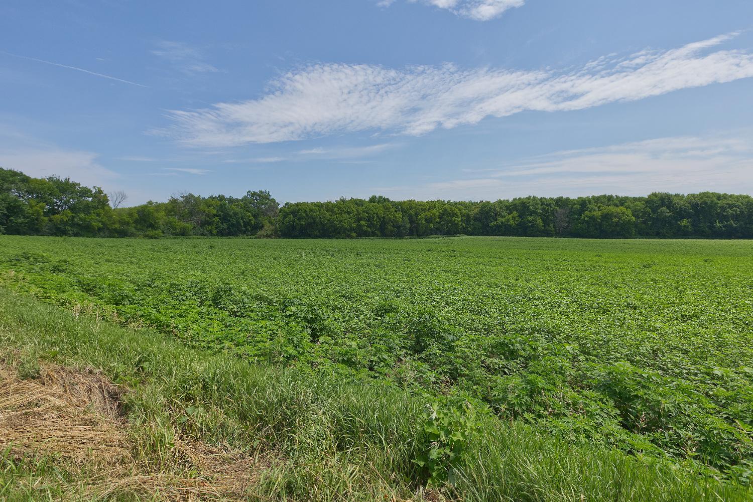 4th image of Tbd2 Ingram Ave Sw, Howard Lake, MN 55349 | MLS# 7110557