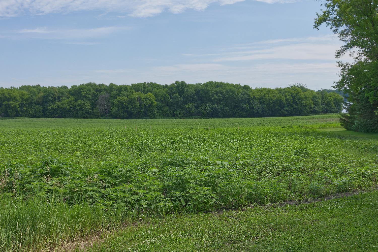 4th image of Tbd3 Ingram Ave Sw, Howard Lake, MN 55349 | MLS# 7110573