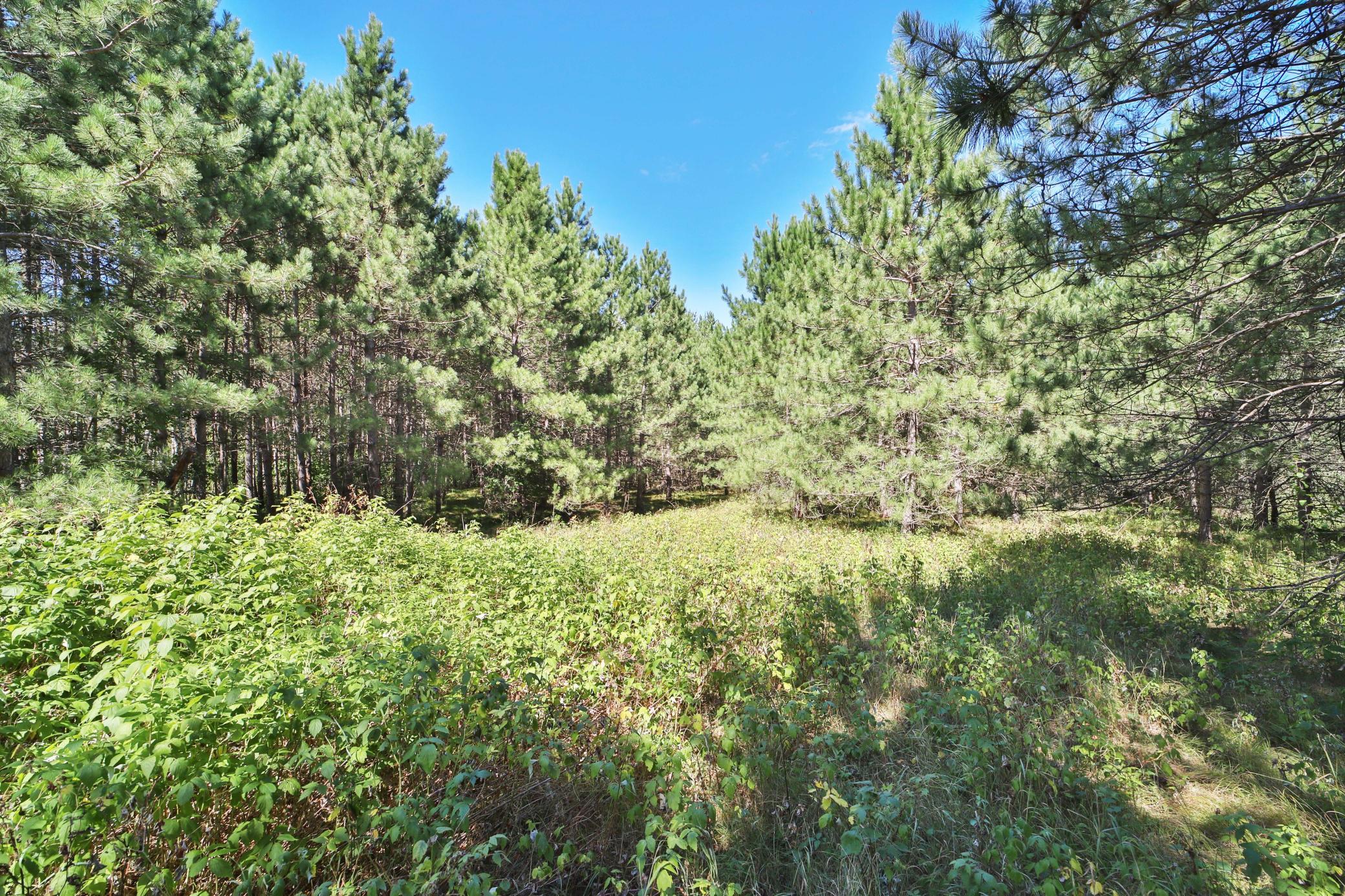 55th image of 16310 Pristine Pine Ct, Brainerd, MN 56401 | MLS# 7110709