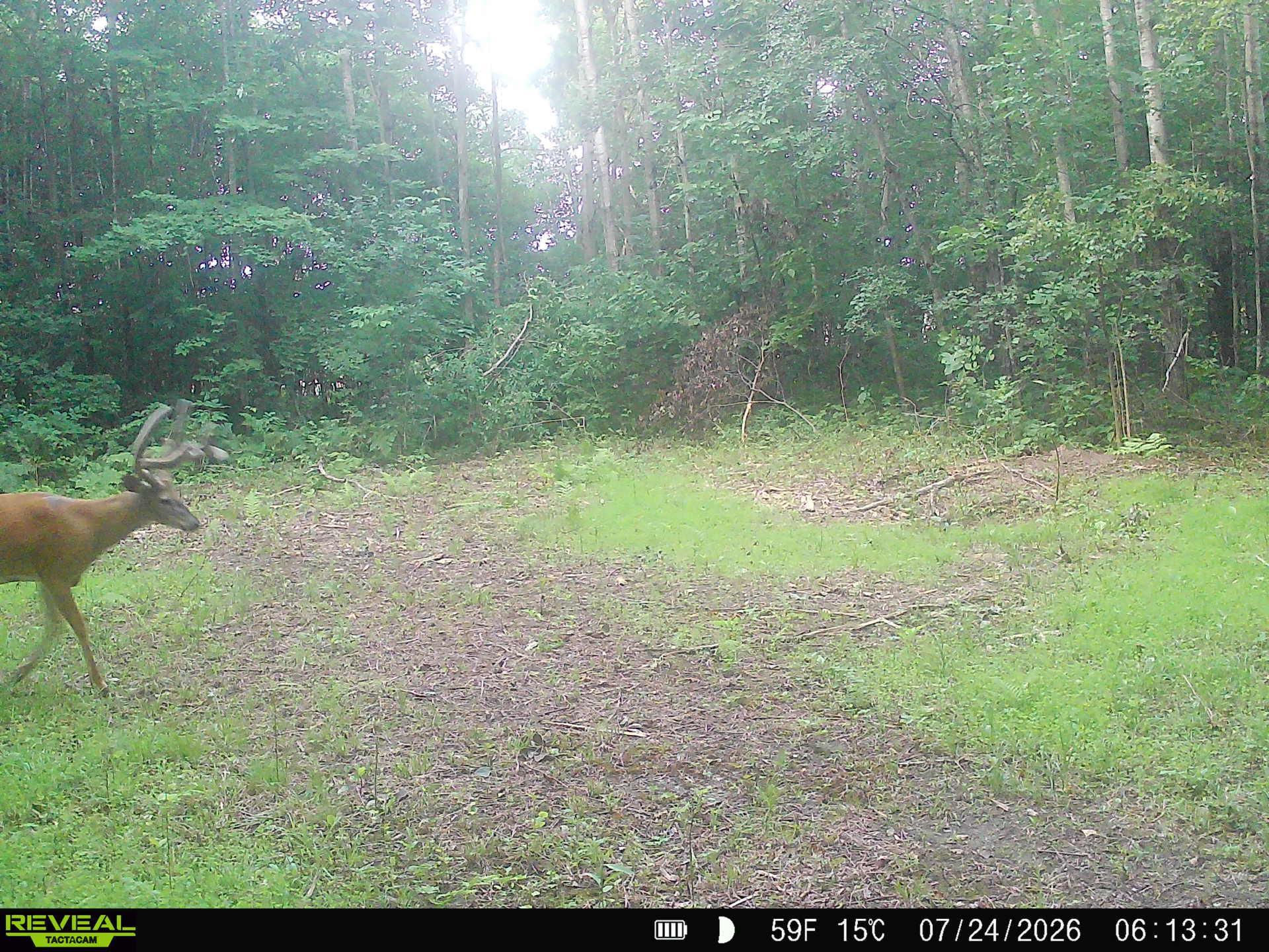 25th image of Lot 2 Csm 7522 4th St, Clayton, WI 54004 | MLS# 7110881