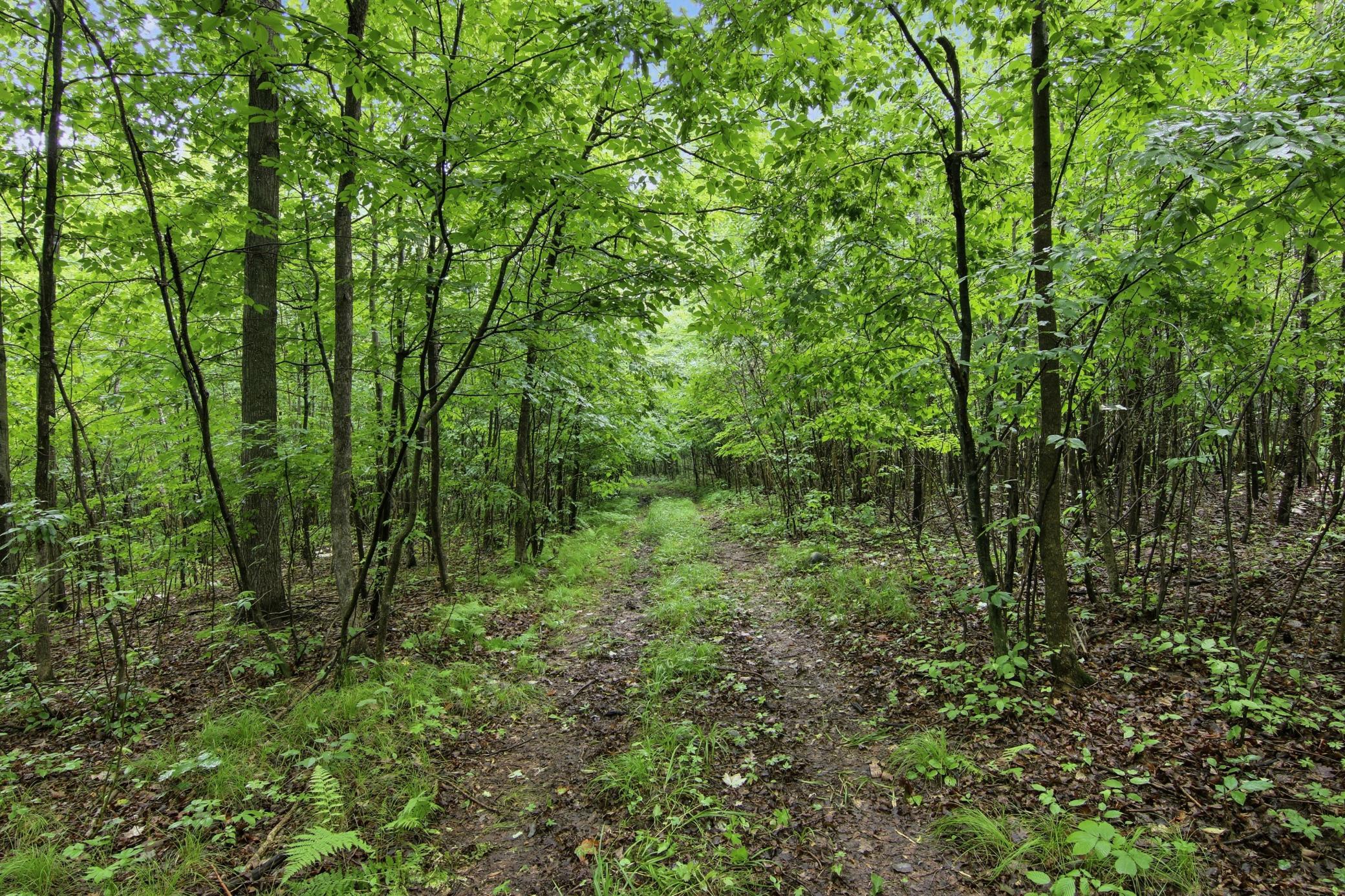 4th image of Lot 2 Csm 7522 4Th St, Clayton, WI 54004 | MLS# 7110881