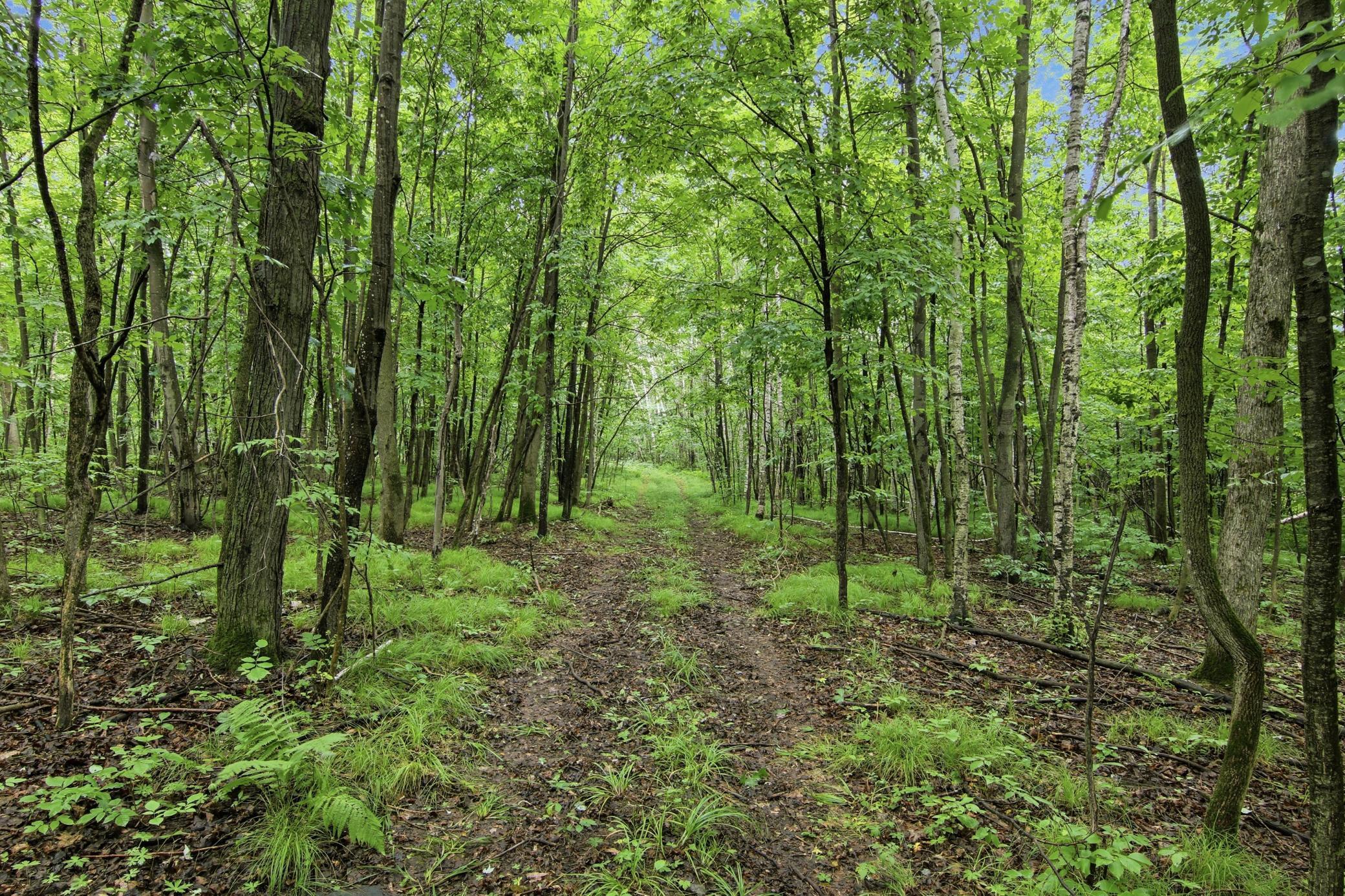 3rd image of Lot 2 Csm 7522 4Th St, Clayton, WI 54004 | MLS# 7110881
