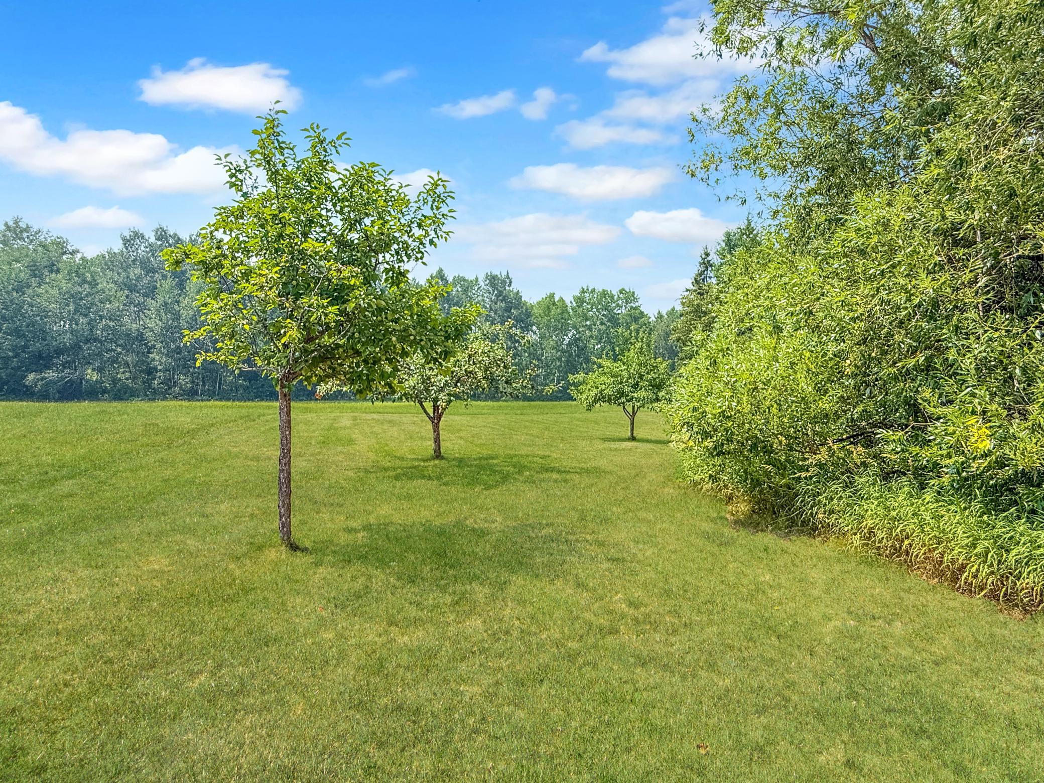 5th image of 45605 317Th Ave, Cass Lake, MN 56633 | MLS# 7110897