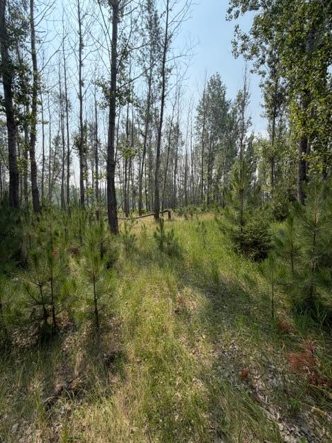 Homes for sale in Verndale, MN | County Rd 26 County Rd 26, Verndale, MN 56481 | MLS# 7111003