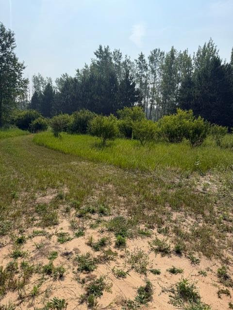 Homes for sale in Verndale, MN | County Rd 26 County Rd 26, Verndale, MN 56481 | MLS# 7111003