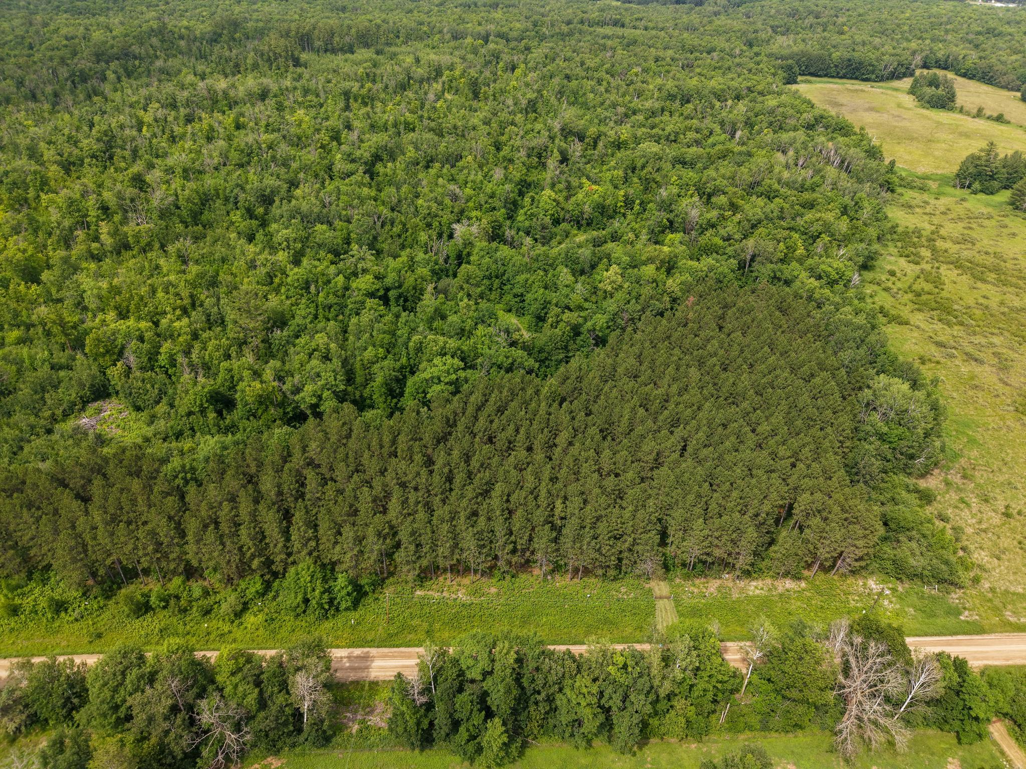5th image of 80 Acres Pike Bay Loop Rd Nw, Cass Lake, MN 56633 | MLS# 7111015