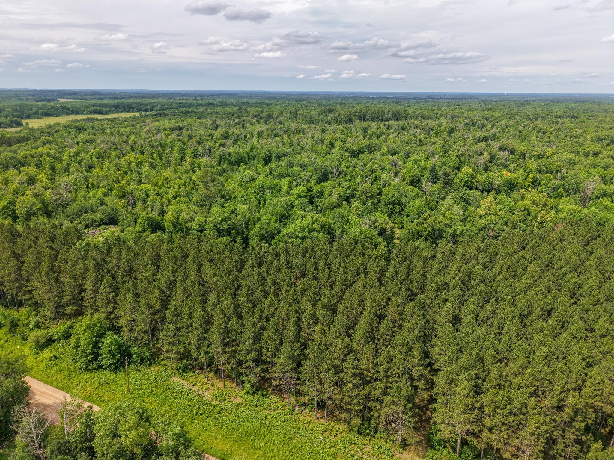 4th image of 80 Acres Pike Bay Loop Rd Nw, Cass Lake, MN 56633 | MLS# 7111015