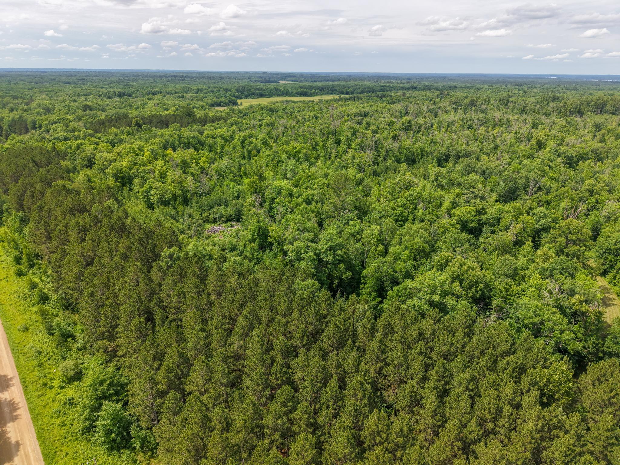 3rd image of 80 Acres Pike Bay Loop Rd Nw, Cass Lake, MN 56633 | MLS# 7111015