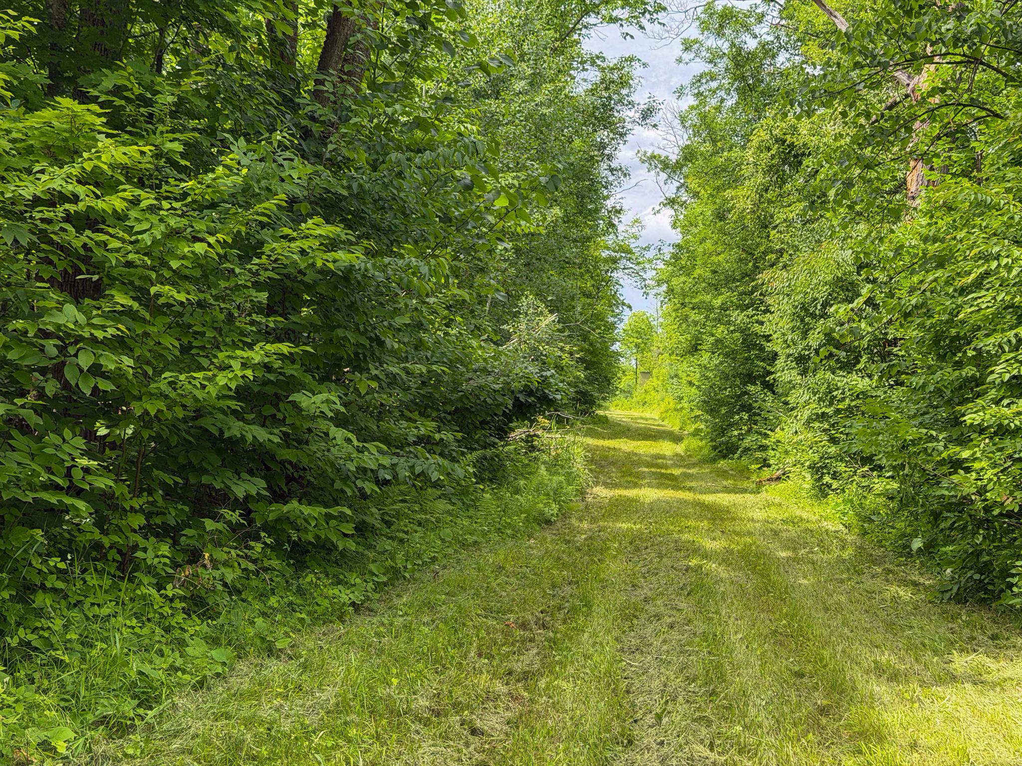 27th image of 80 Acres Pike Bay Loop Rd Nw, Cass Lake, MN 56633 | MLS# 7111015