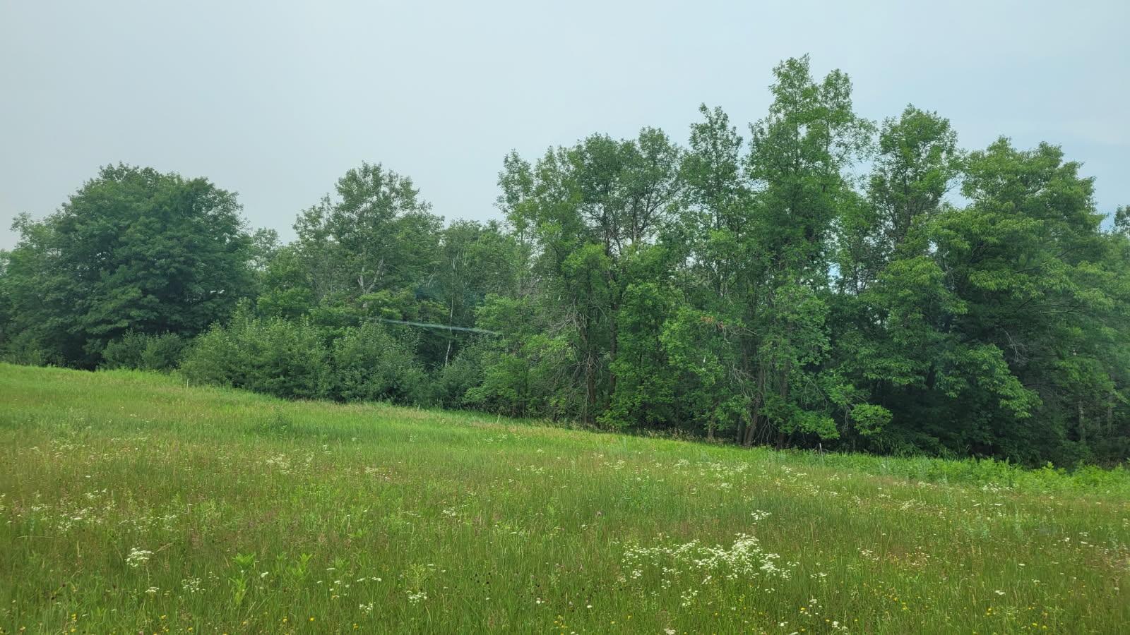 2nd image of 1560 8th St Ne, Pine River, MN 56474 | MLS# 7111033