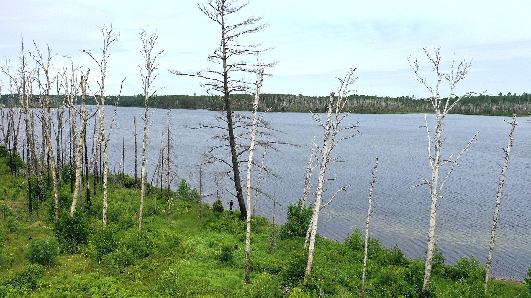 5th image of 2377 N Mcdougal Ln, Isabella, MN 55607 | MLS# 7111366