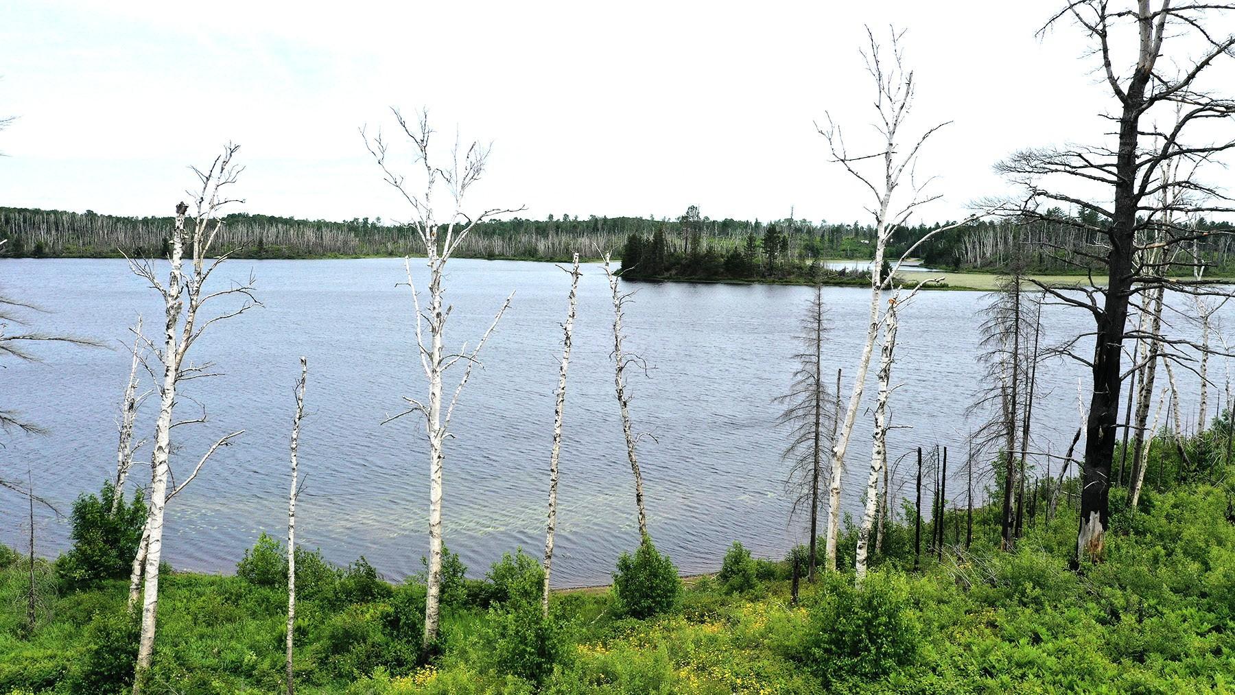 4th image of 2377 N Mcdougal Ln, Isabella, MN 55607 | MLS# 7111366