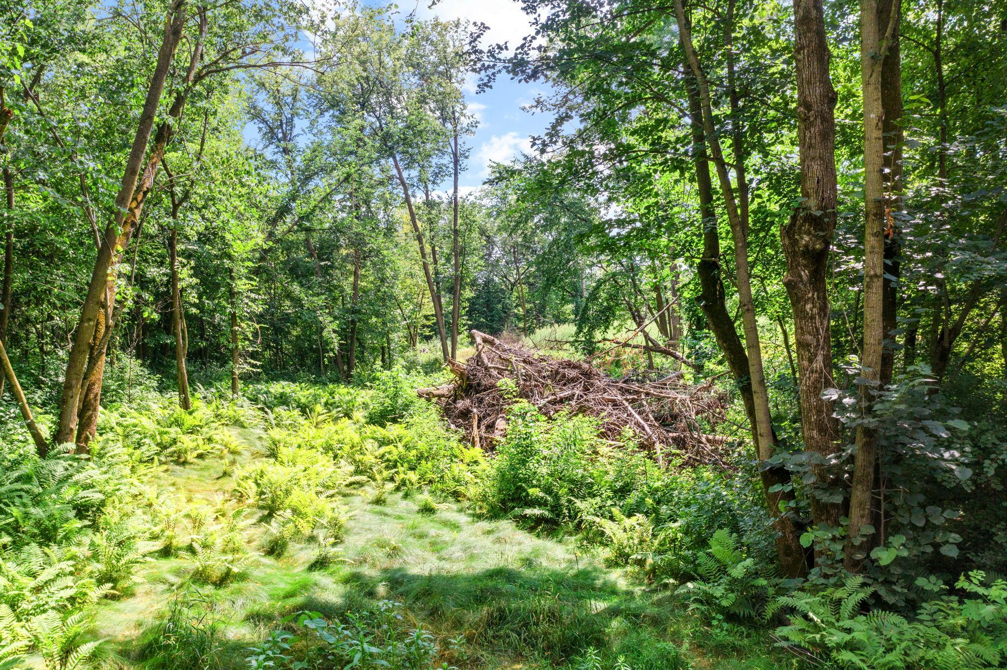 2nd image of 1850 Klondike Dr Ne, Cedar, MN 55011 | MLS# 7111371