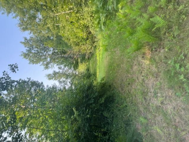 4th image of 36502 County Road 129, Deer River, MN 56636 | MLS# 7111533