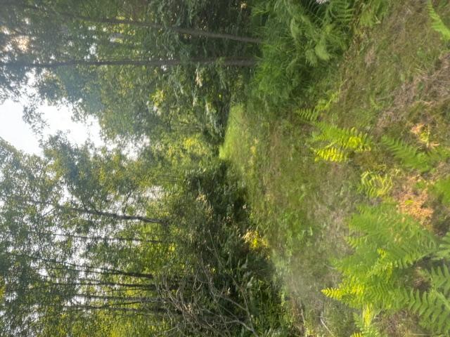 5th image of 36502 County Road 129, Deer River, MN 56636 | MLS# 7111533