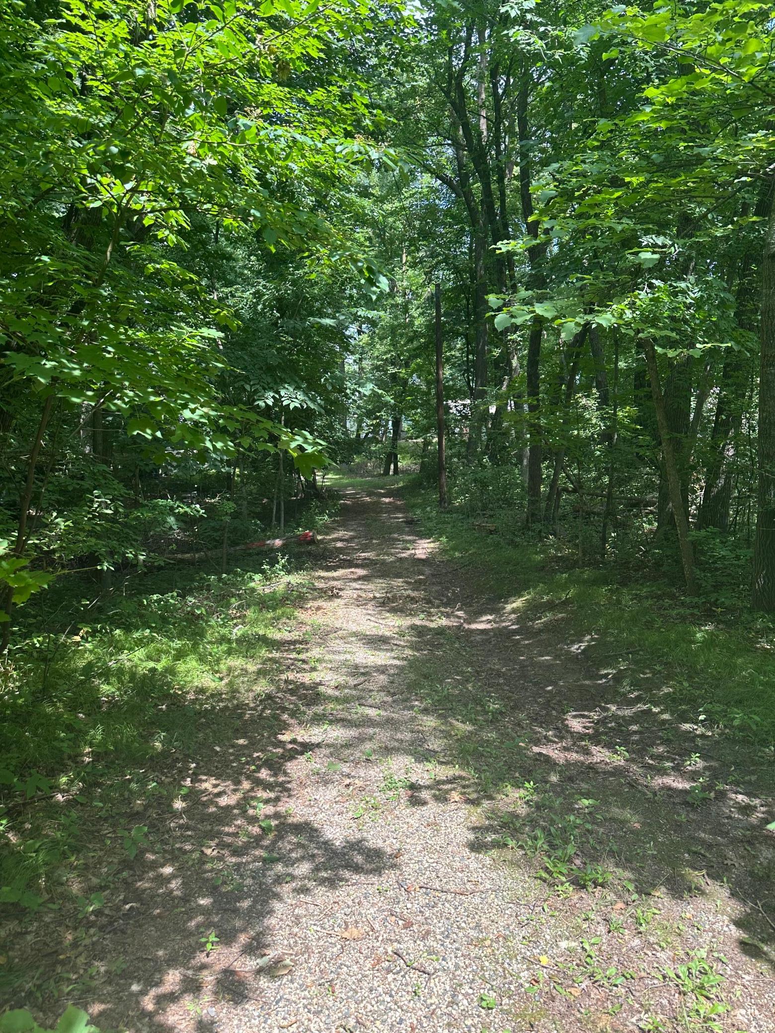 3rd image of 2031 Fairview Beach Rd Ne, Alexandria, MN 56308 | MLS# 7111710