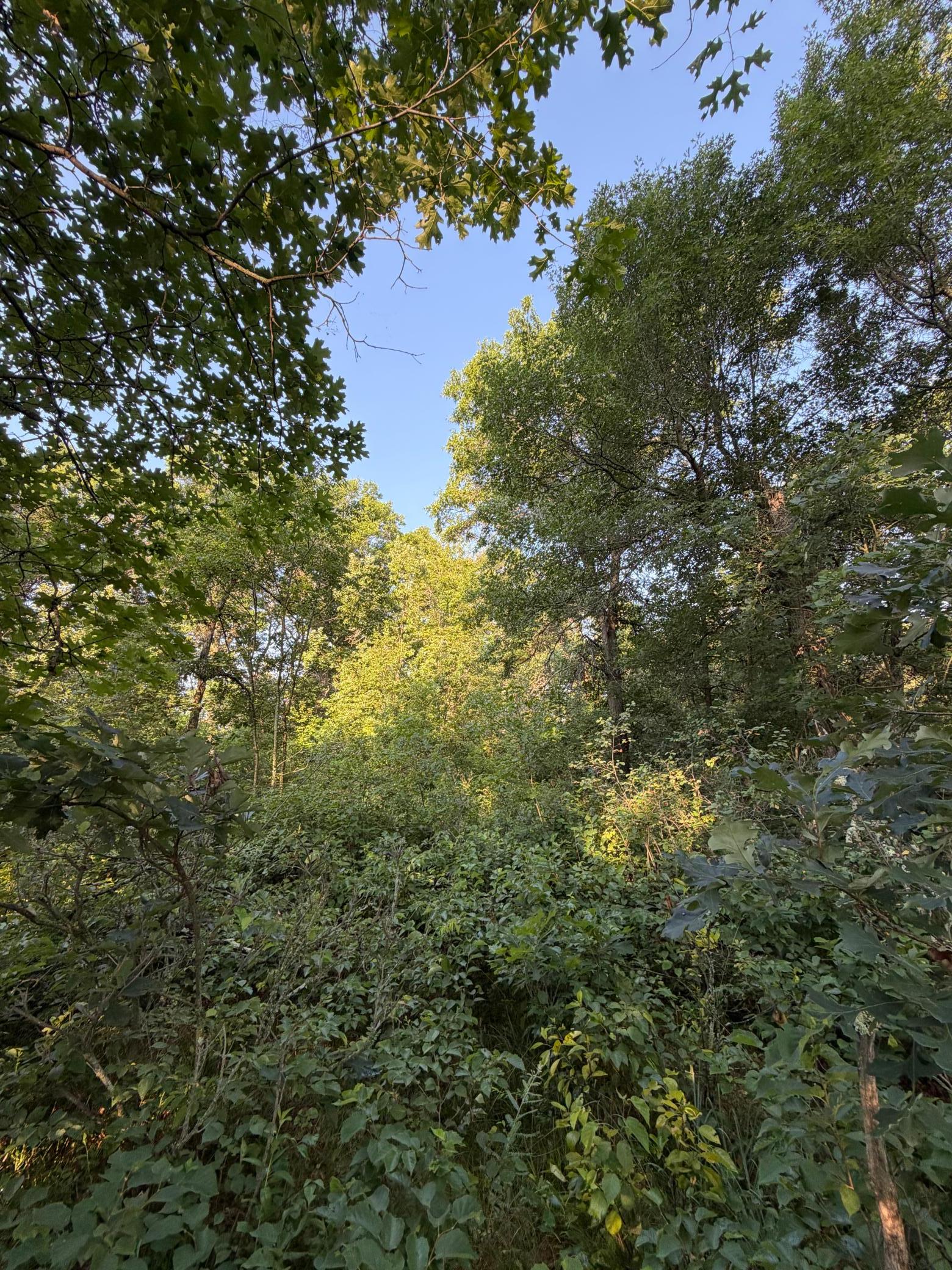 3rd image of Xxxxx Volkmann Ln, Grantsburg, WI 54840 | MLS# 7111720