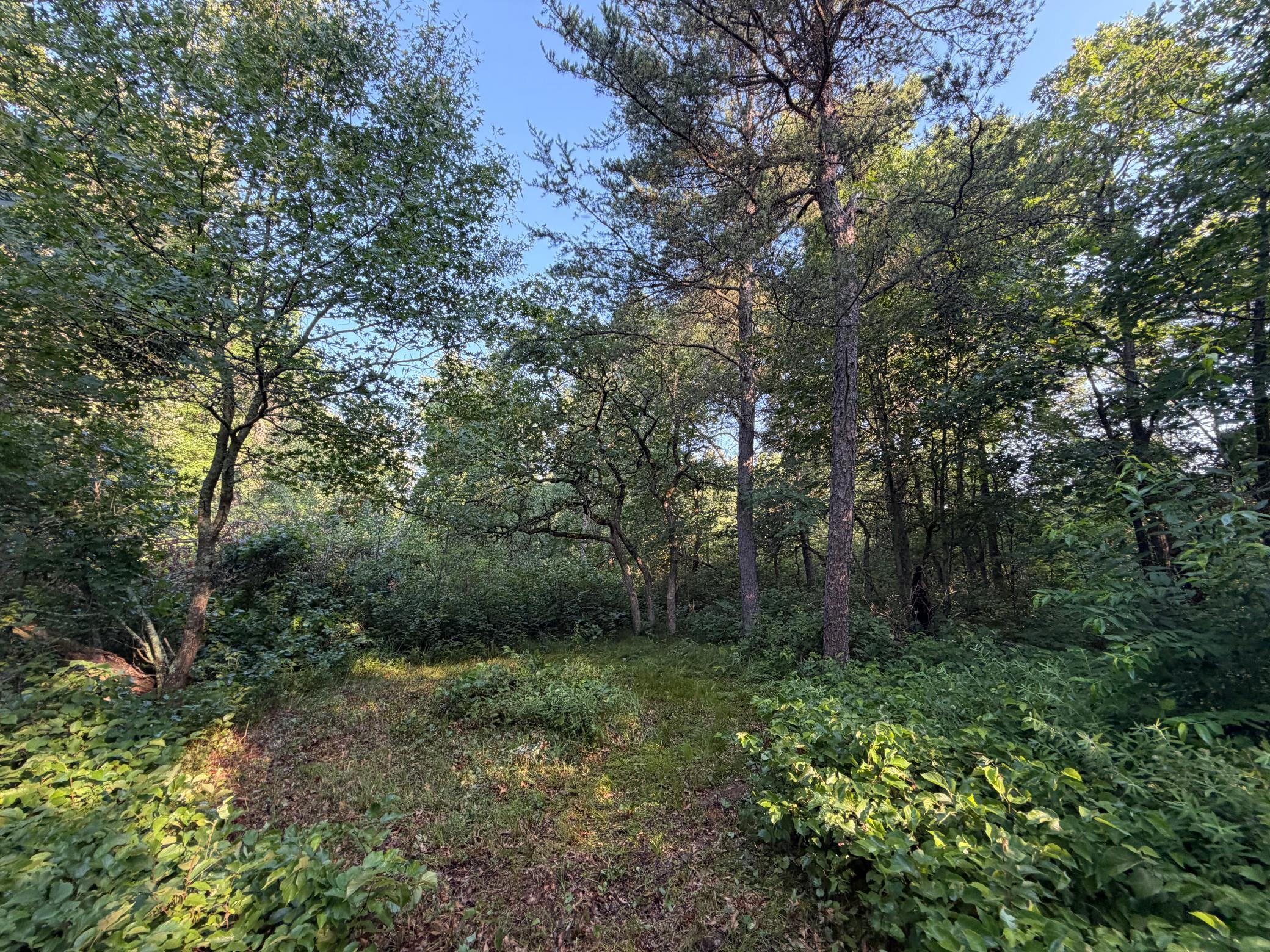 2nd image of Xxxxx Volkmann Ln, Grantsburg, WI 54840 | MLS# 7111720