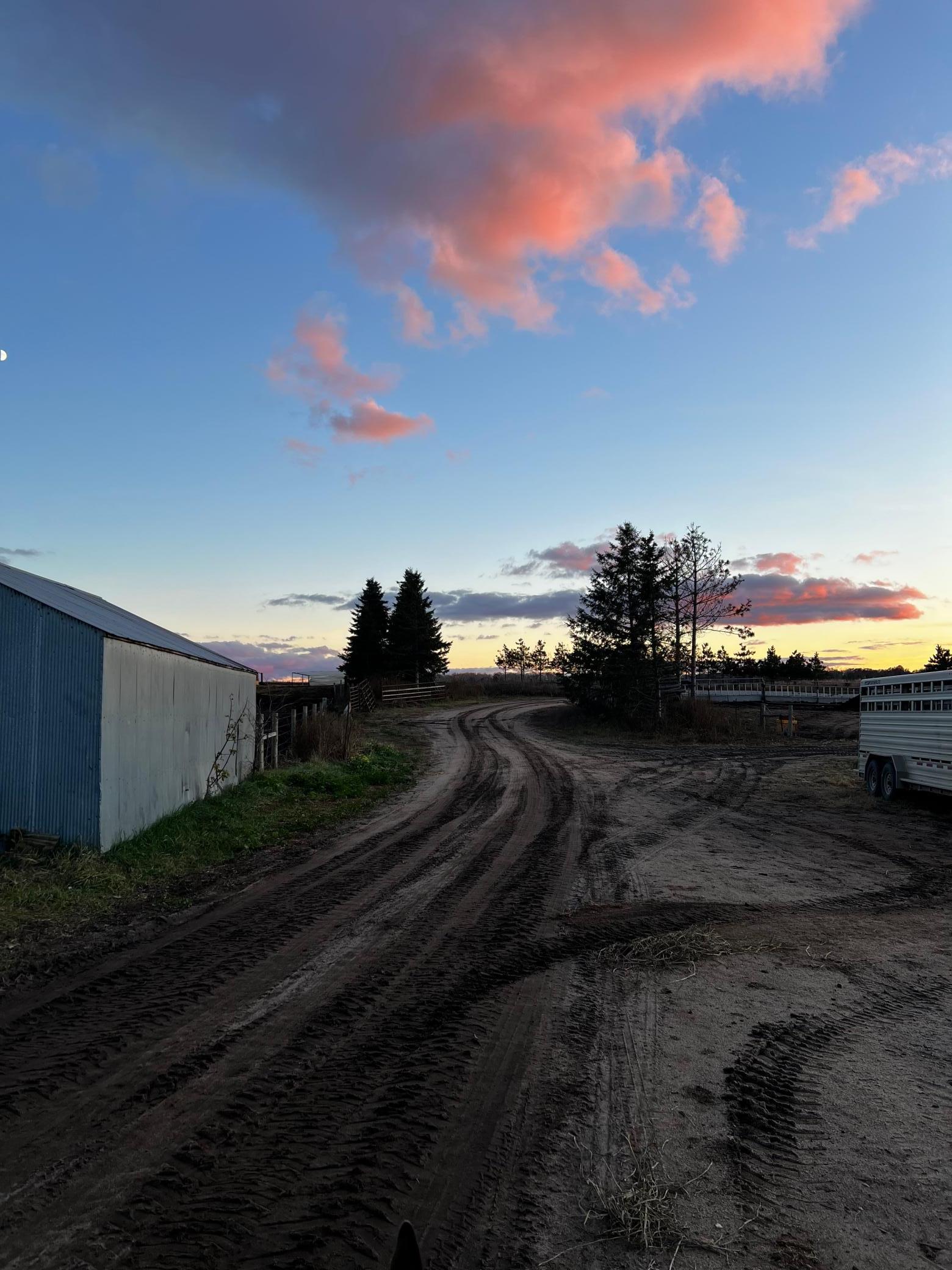 4th image of 14844 129Th Ave, Park Rapids, MN 56470 | MLS# 7112060