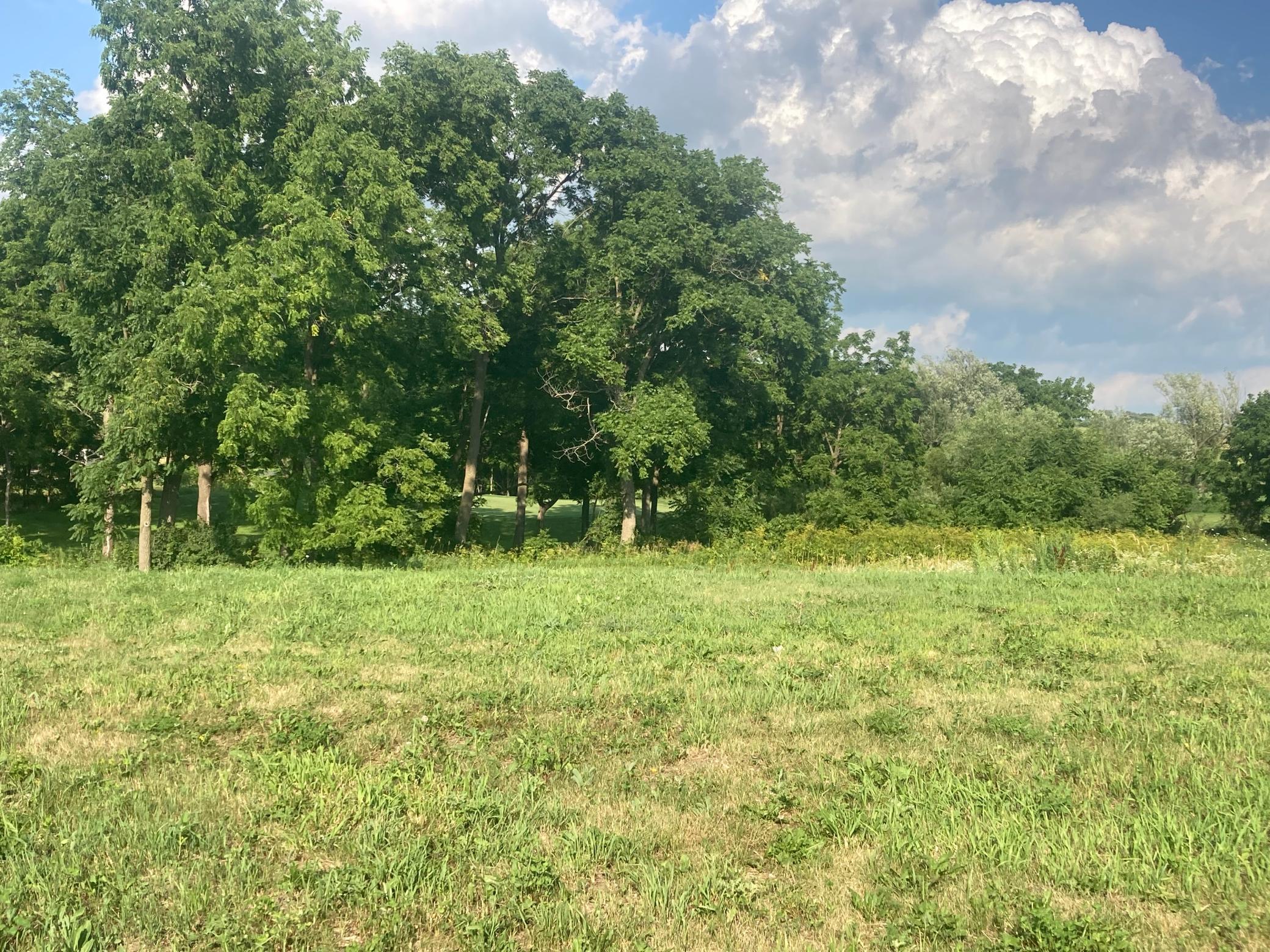 1st image of 505 Golfview Ave, Zumbrota, MN 55992 | MLS# 7112187