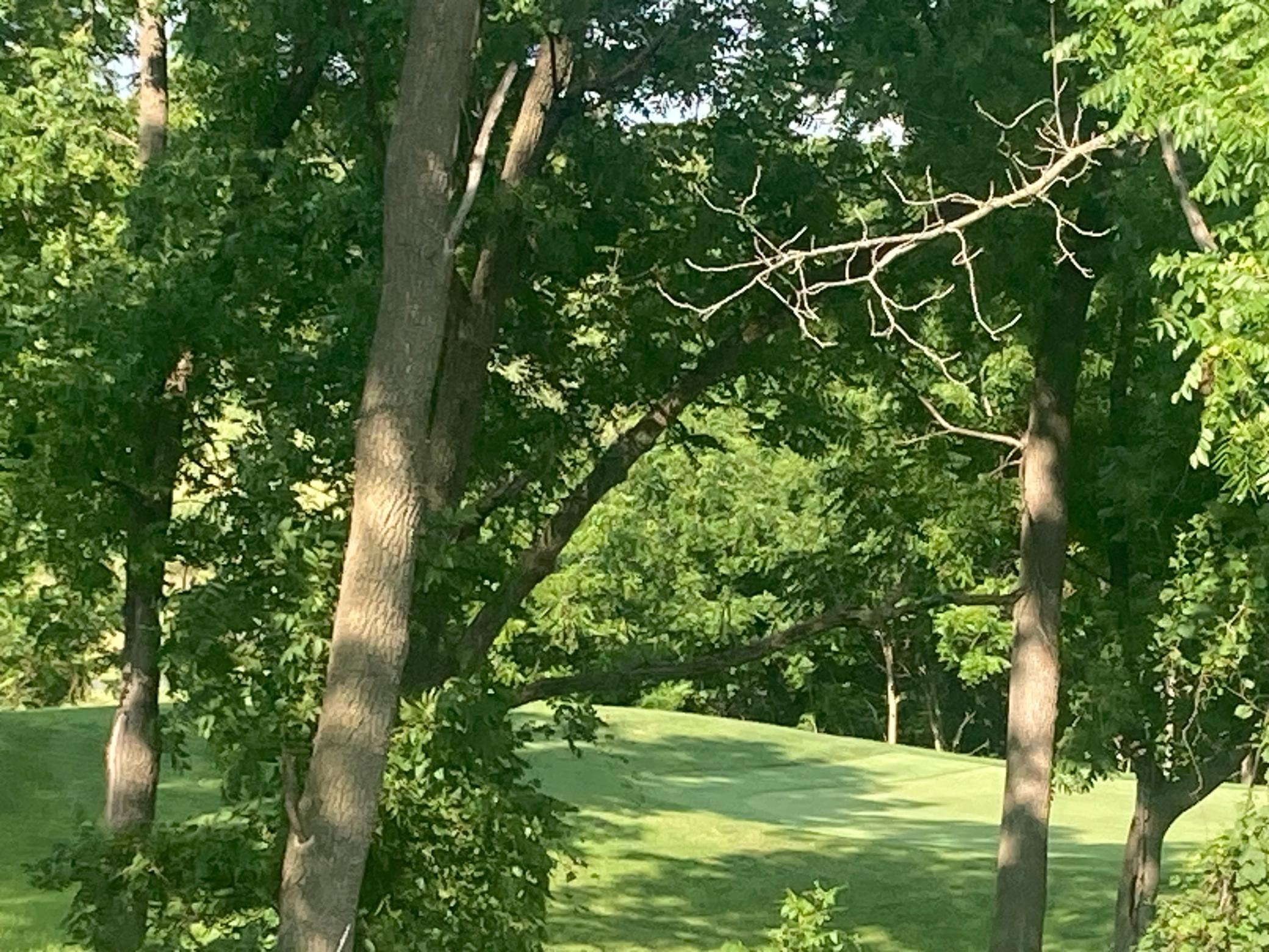 2nd image of 505 Golfview Ave, Zumbrota, MN 55992 | MLS# 7112187