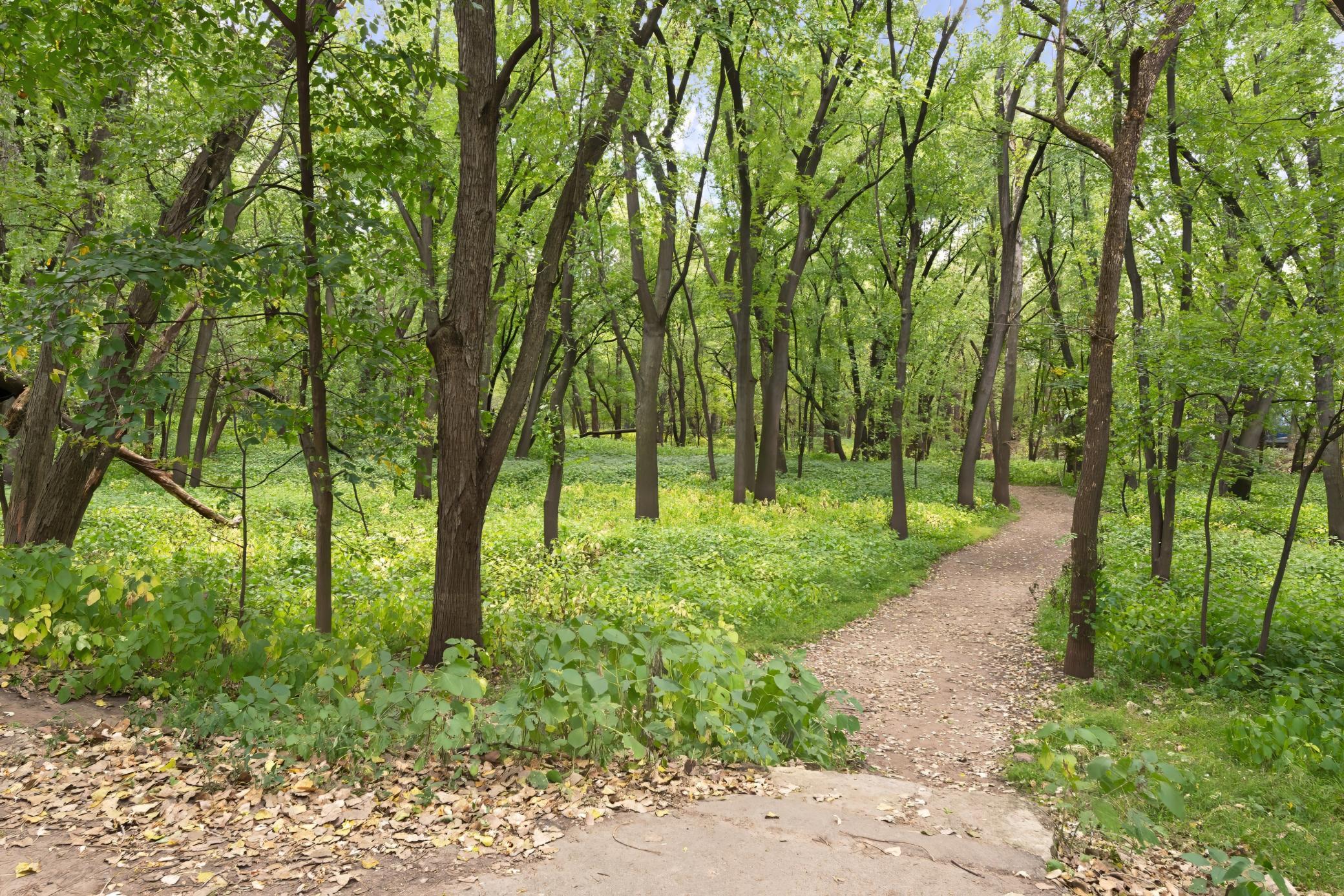 2nd image of 1101 Sibley Memorial Hwy, Saint Paul, MN 55118