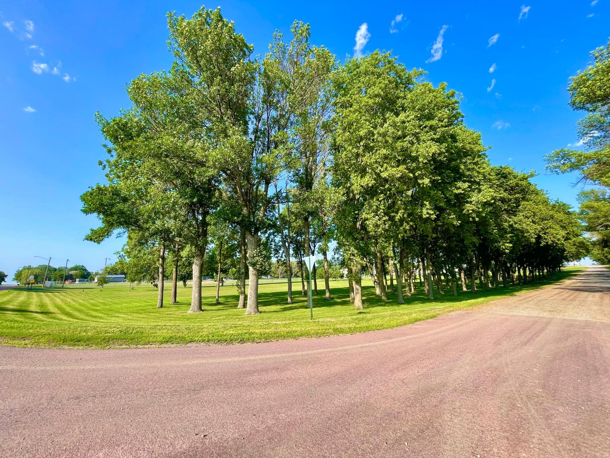 Homes for sale in Clements, MN | Tbd Center St, Clements, MN 56224 | MLS# 7112385