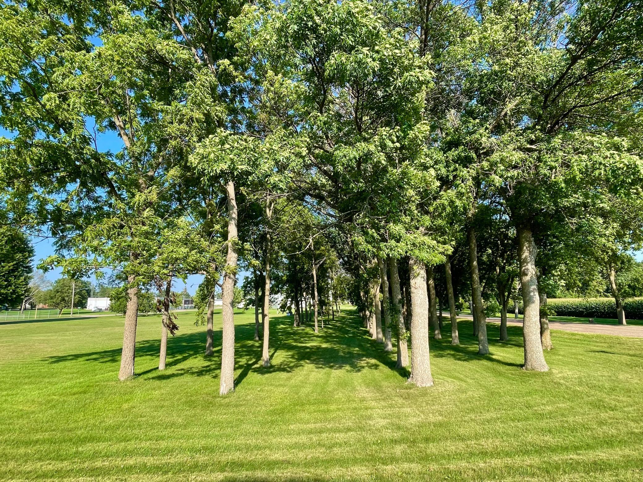Homes for sale in Clements, MN | Tbd Center St, Clements, MN 56224 | MLS# 7112385
