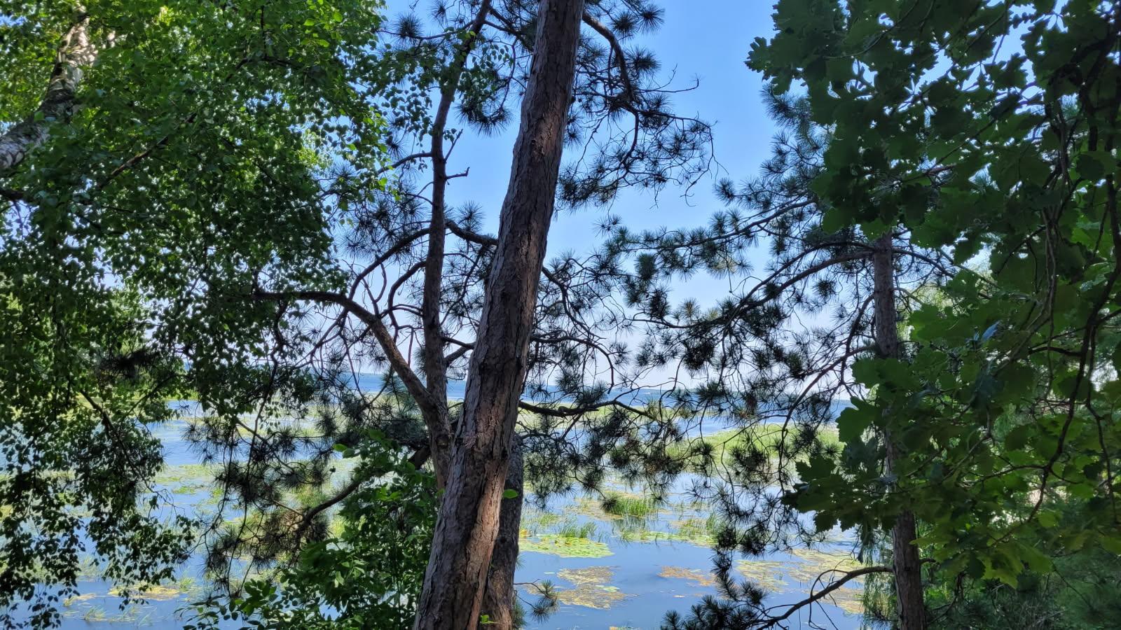 2nd image of 36803 Pine Knolls Cir, Pine River, MN 56474 | MLS# 7112581