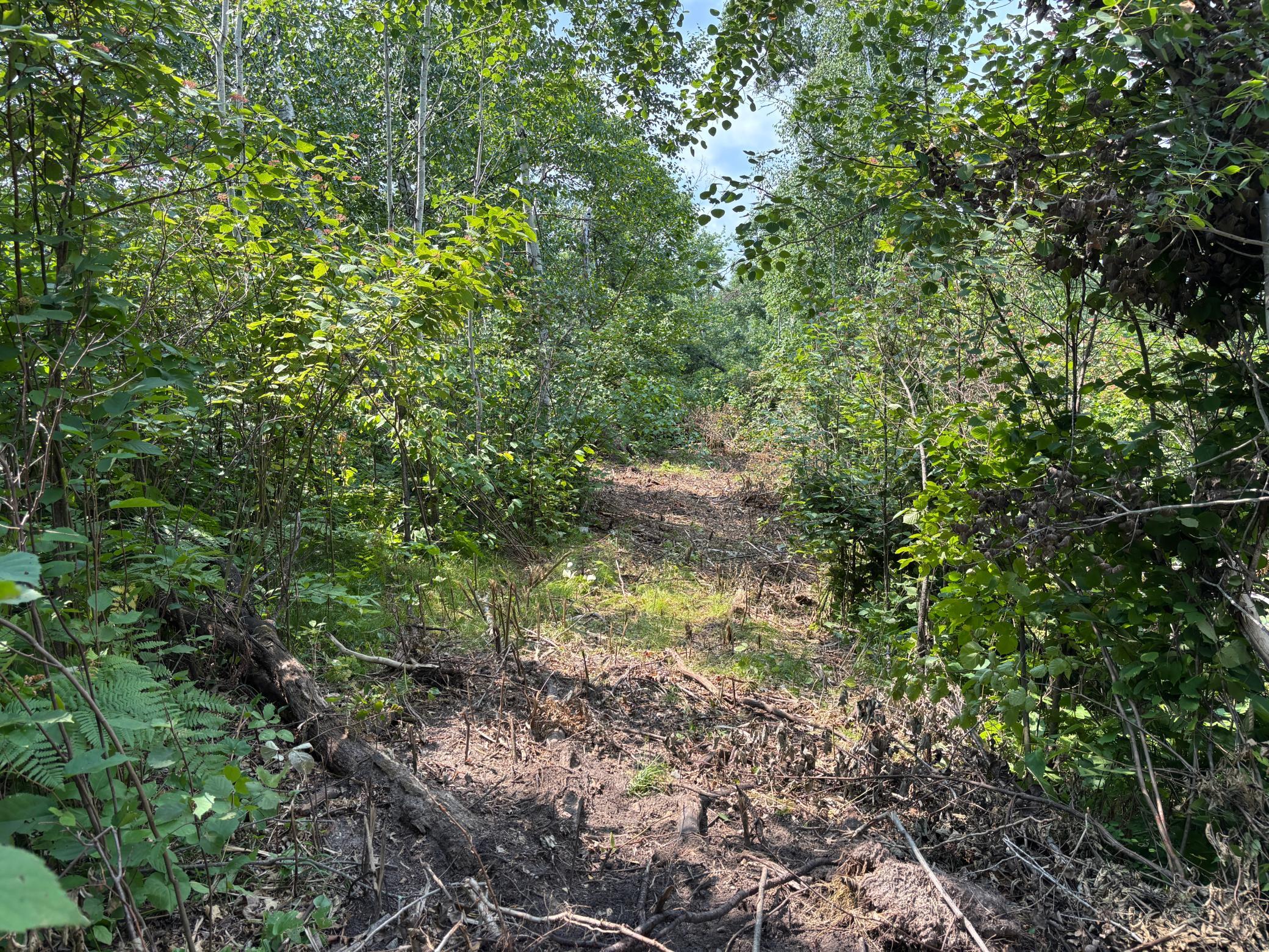 3rd image of Tbd Woodland Hills Dr Se, Bemidji, MN 56601 | MLS# 7112595