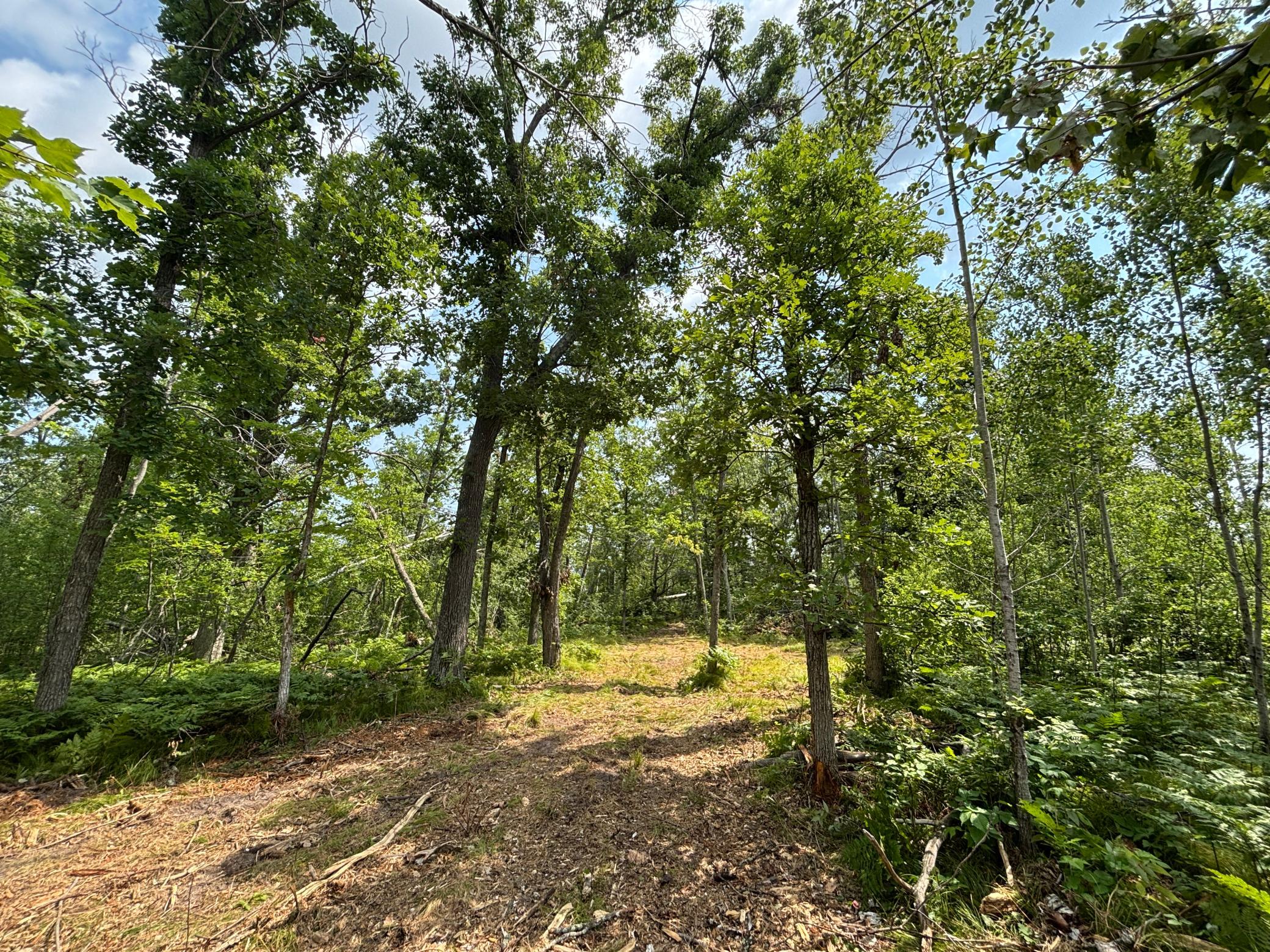 18th image of Tbd Woodland Hills Dr Se, Bemidji, MN 56601 | MLS# 7112595