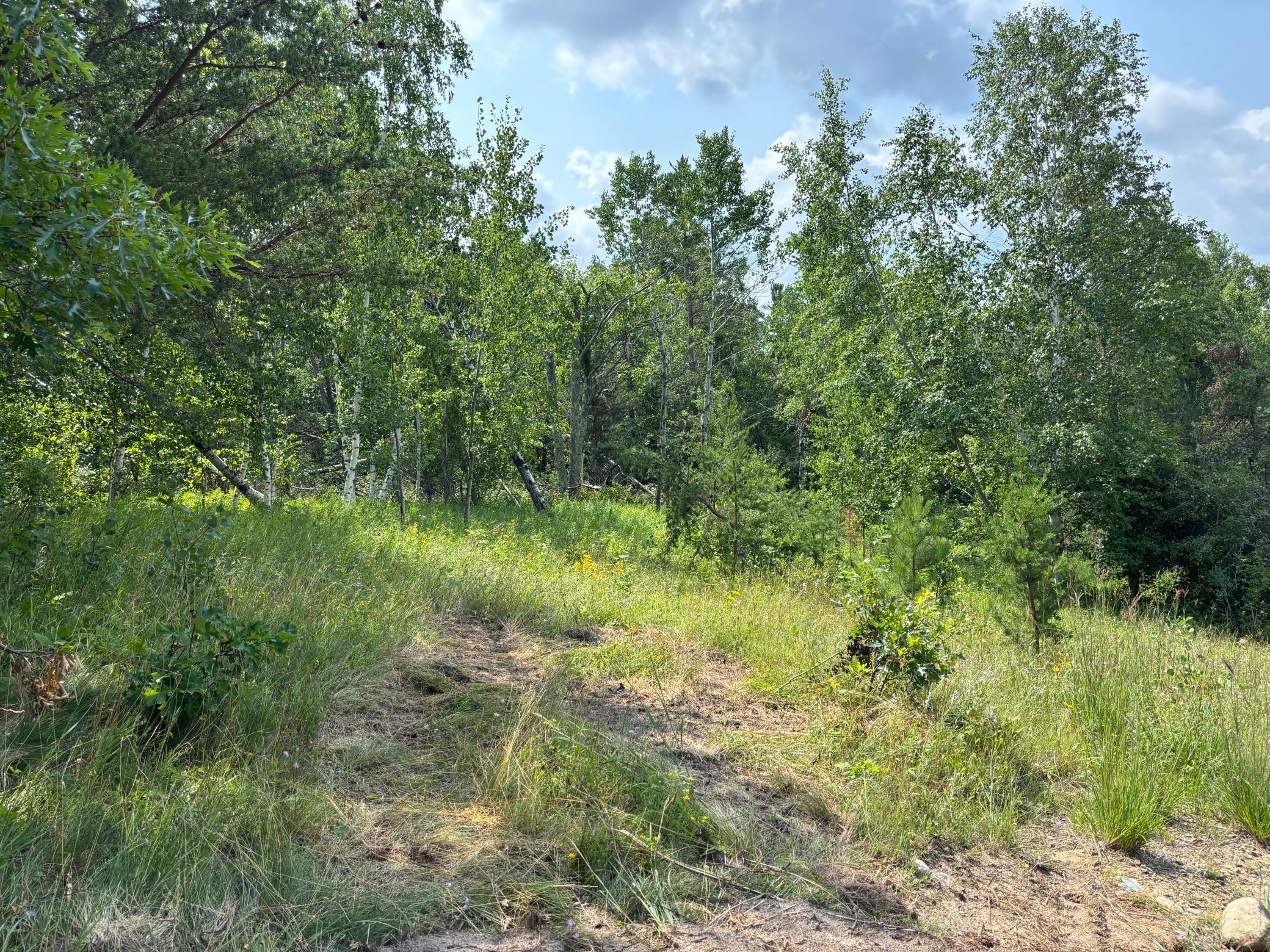 4th image of Tbd Woodland Hills Dr Se, Bemidji, MN 56601 | MLS# 7112595