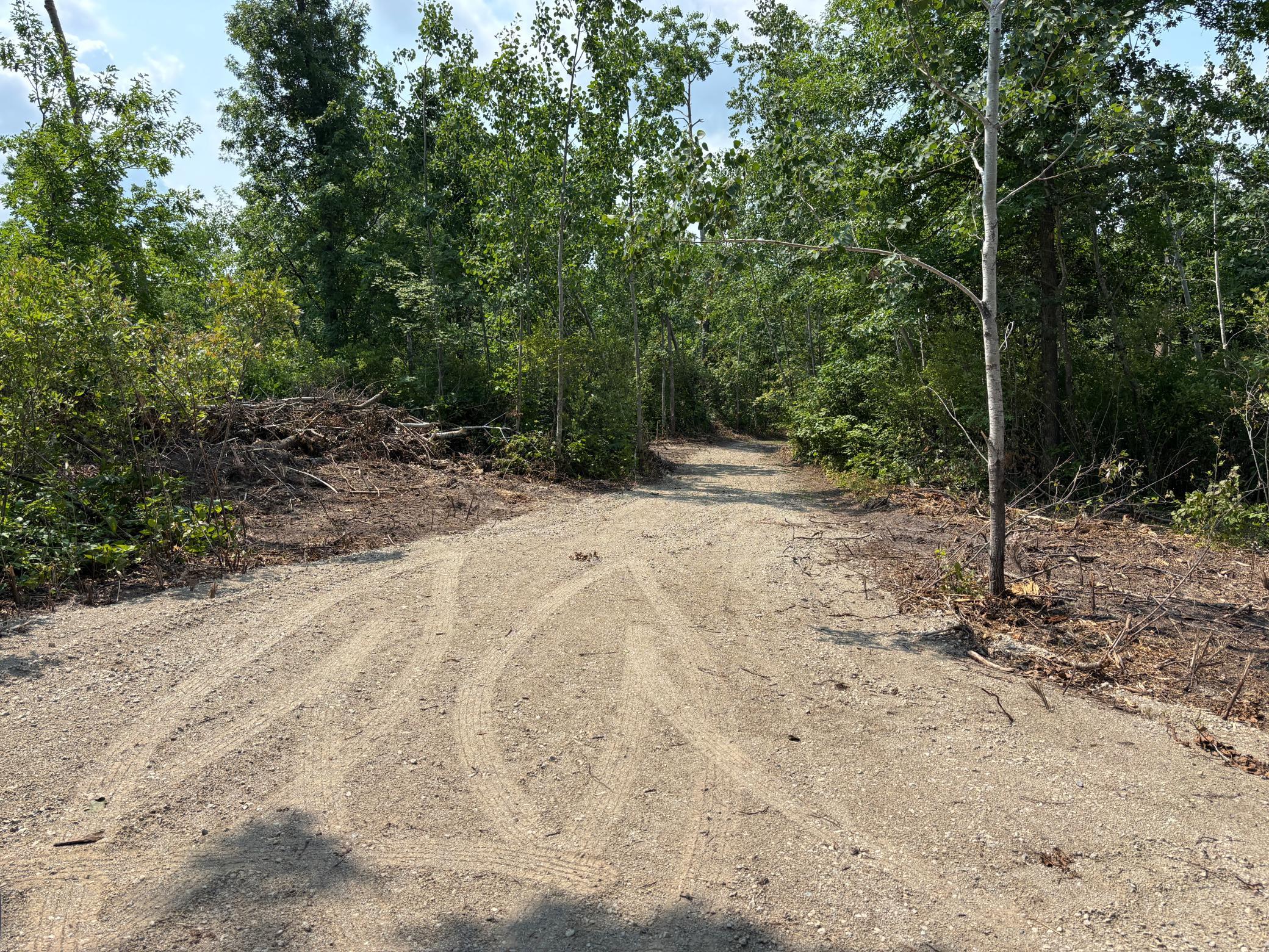 2nd image of Tbd Woodland Hills Dr Se, Bemidji, MN 56601 | MLS# 7112595