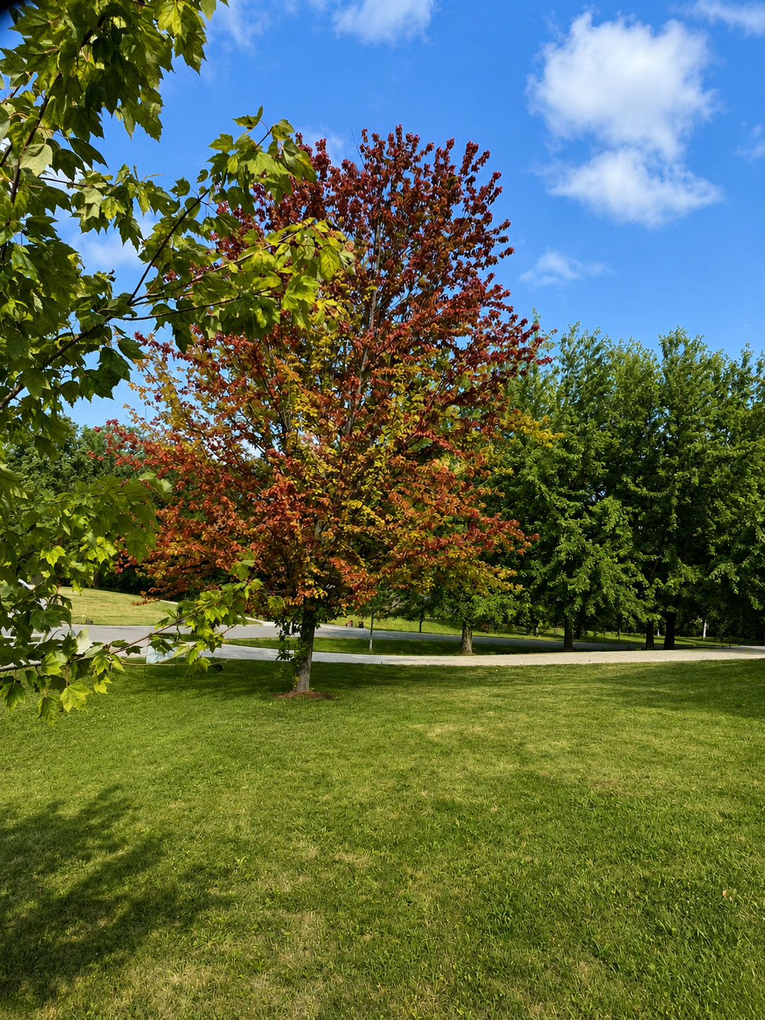 3rd image of 2208 Darling Ave E, Alexandria, MN 56308 | MLS# 7112674