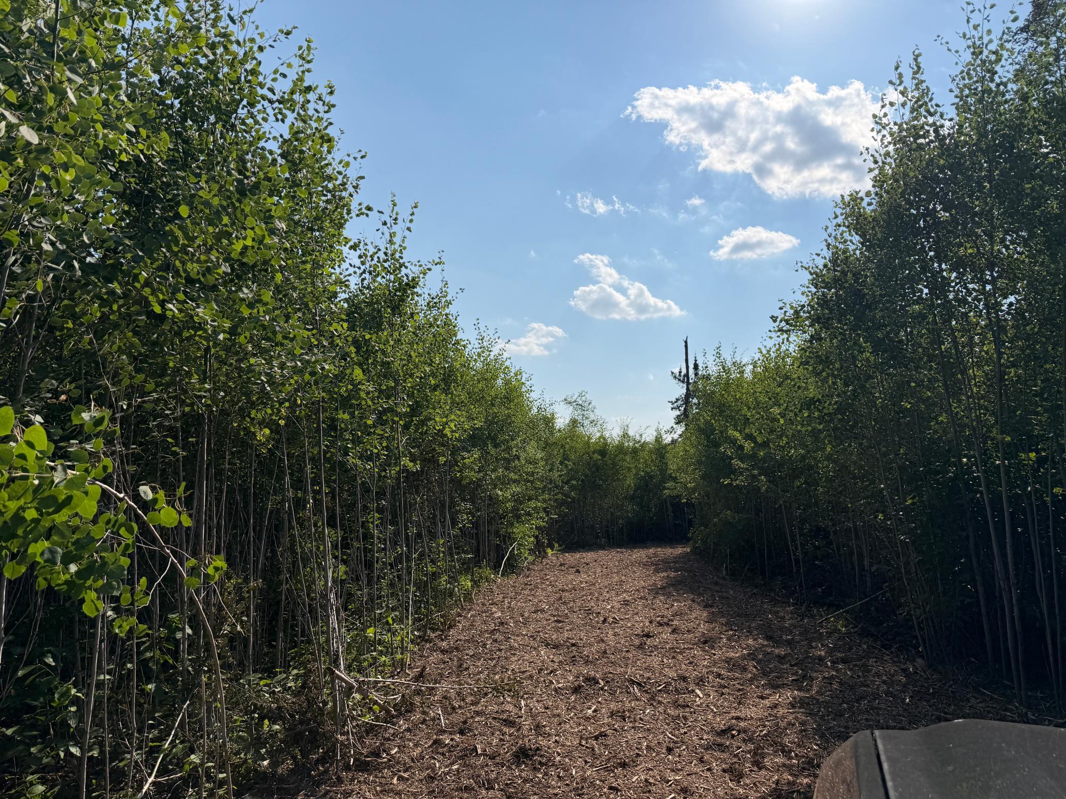 5th image of 48043 Deerfield Road, Kerrick, MN 55756 | MLS# 7112713