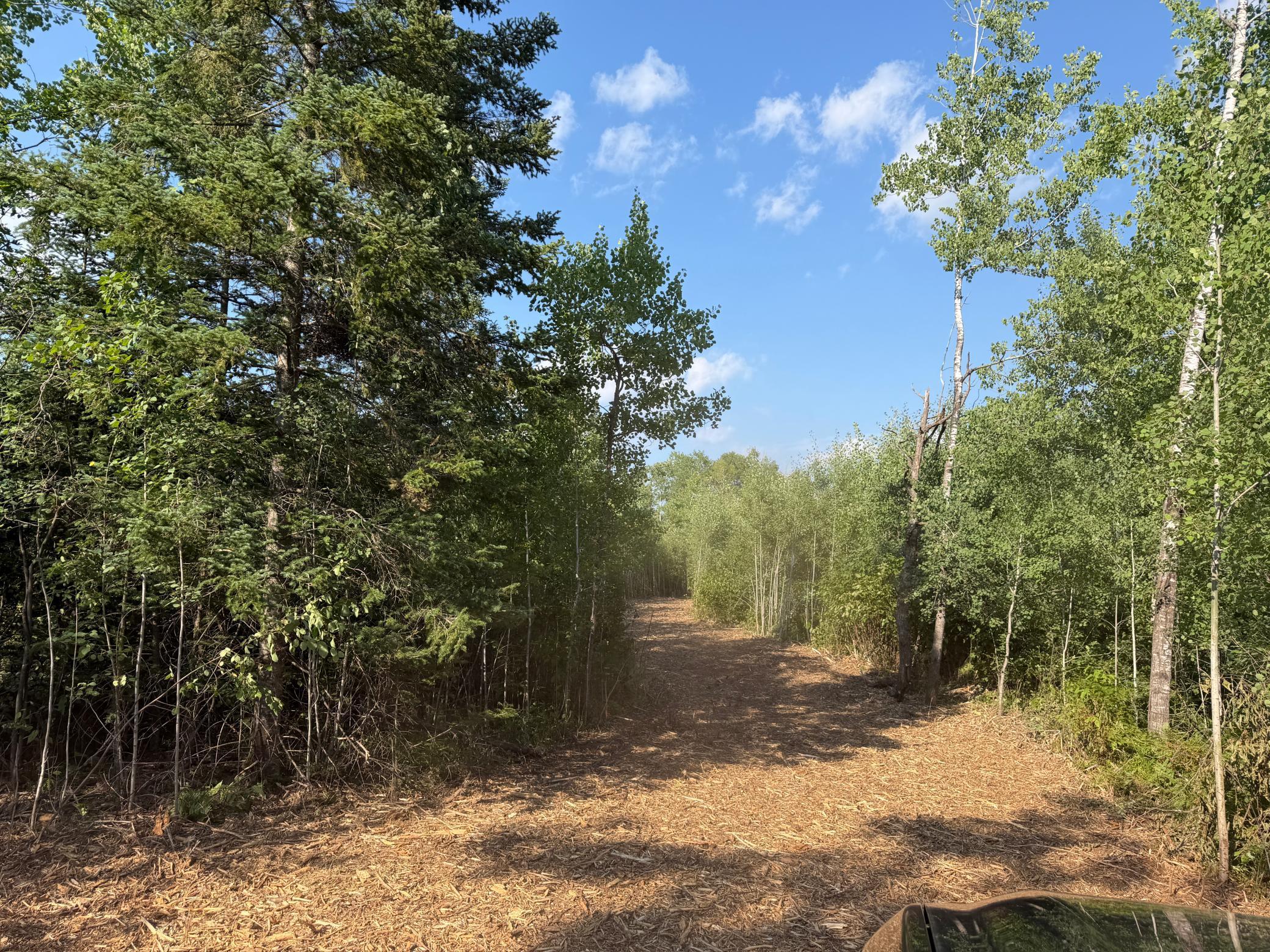 3rd image of 48043 Deerfield Road, Kerrick, MN 55756 | MLS# 7112713
