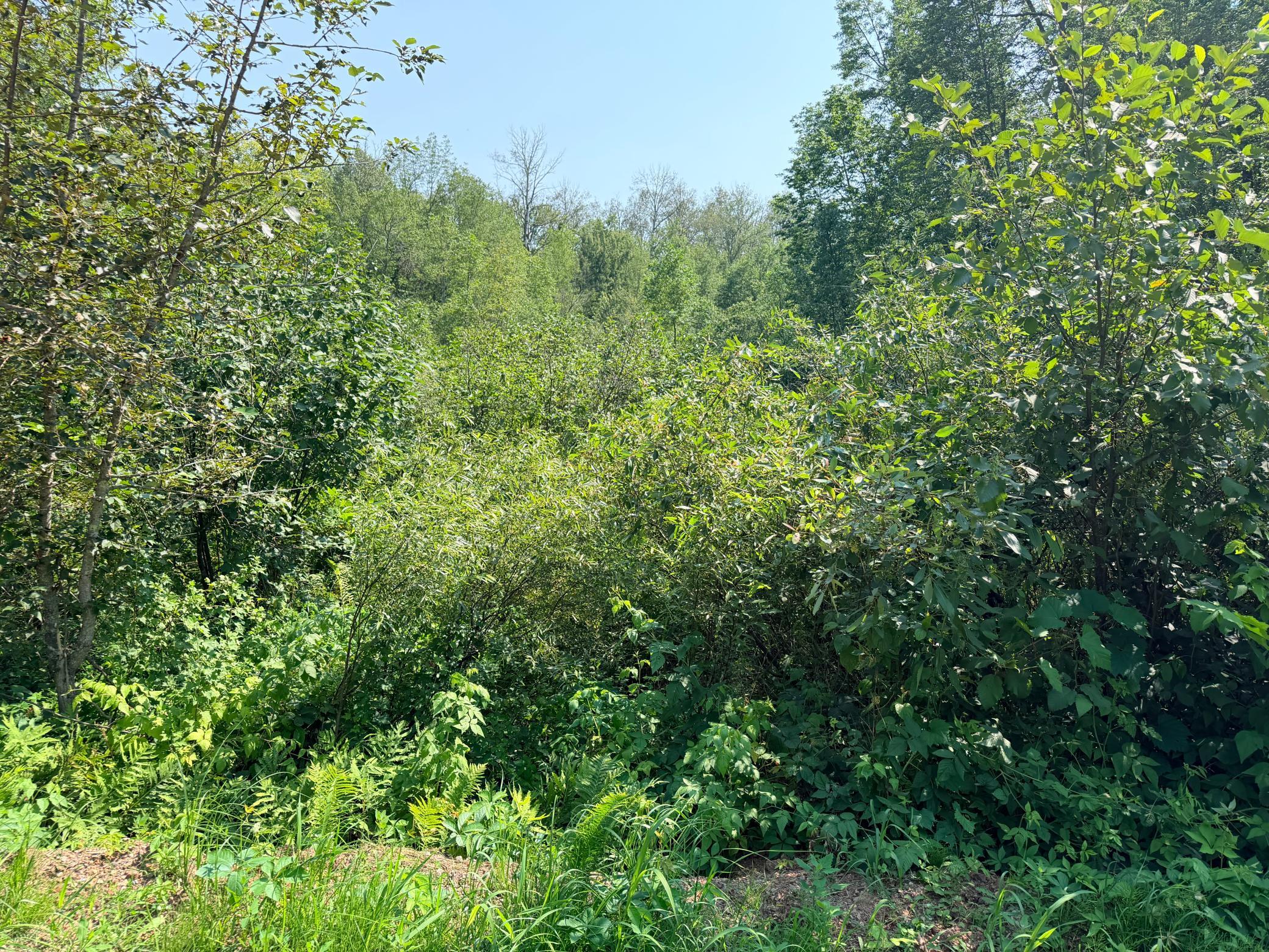 5th image of 23637 561St Ln, Mc Gregor, MN 55760 | MLS# 7113046