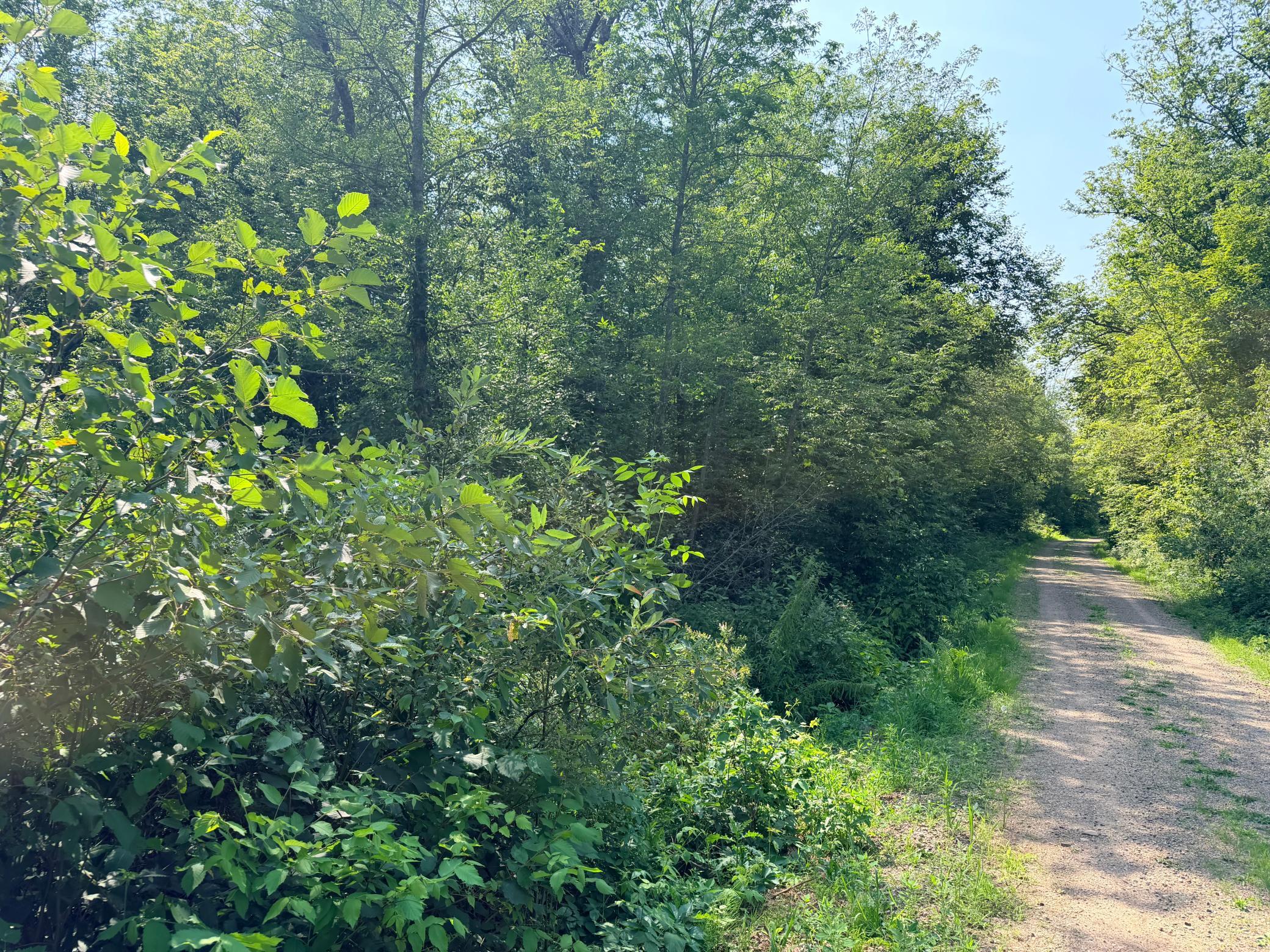 4th image of 23637 561St Ln, Mc Gregor, MN 55760 | MLS# 7113046