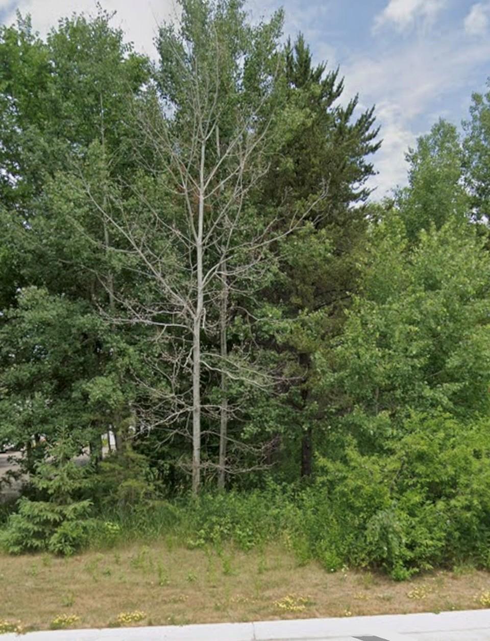 2nd image of Lot 15 Pine Street, Brainerd, MN 56401 | MLS# 7113169