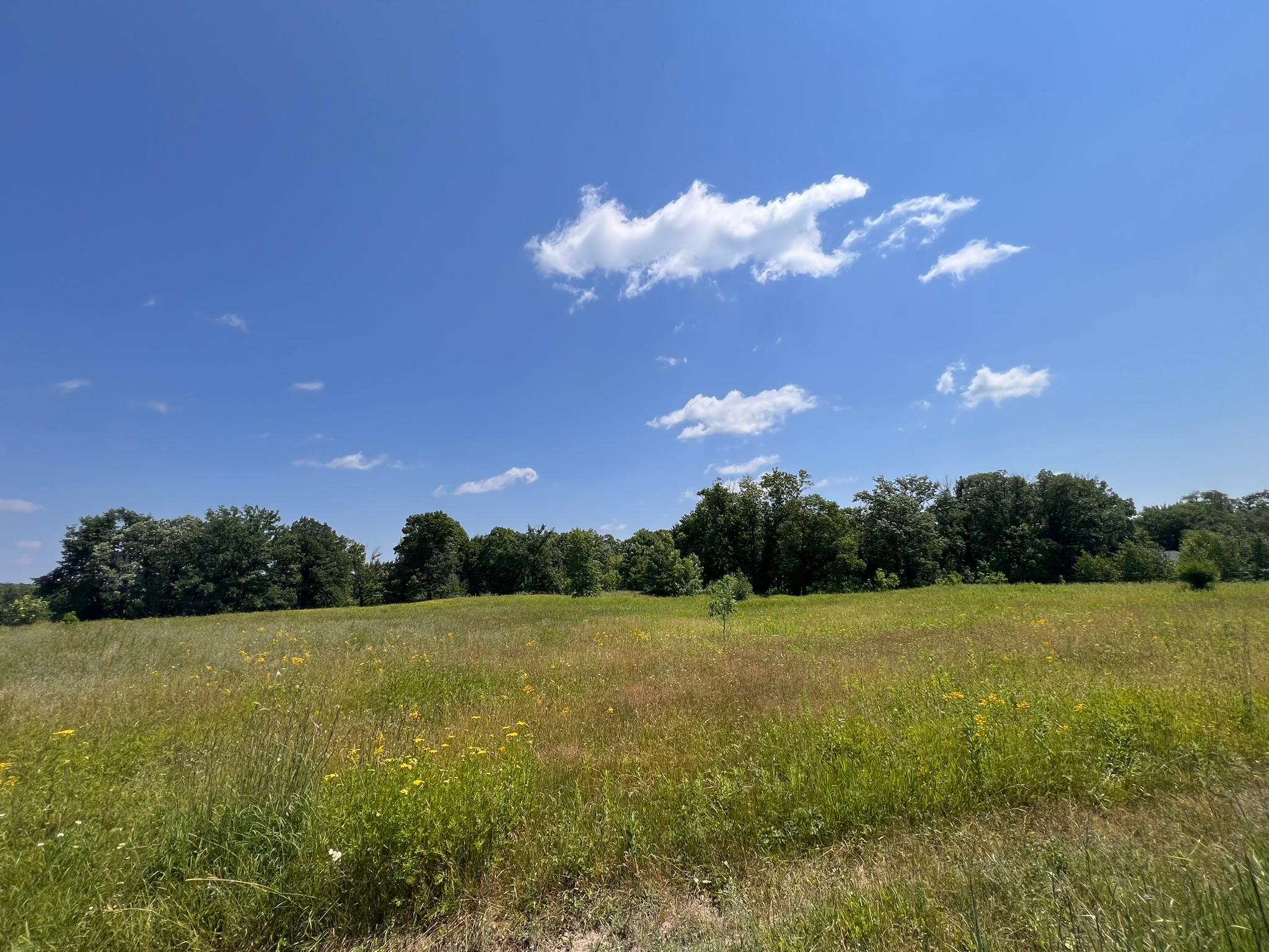 3rd image of 36200 Cr-39, Laporte, MN 56461 | MLS# 7113171